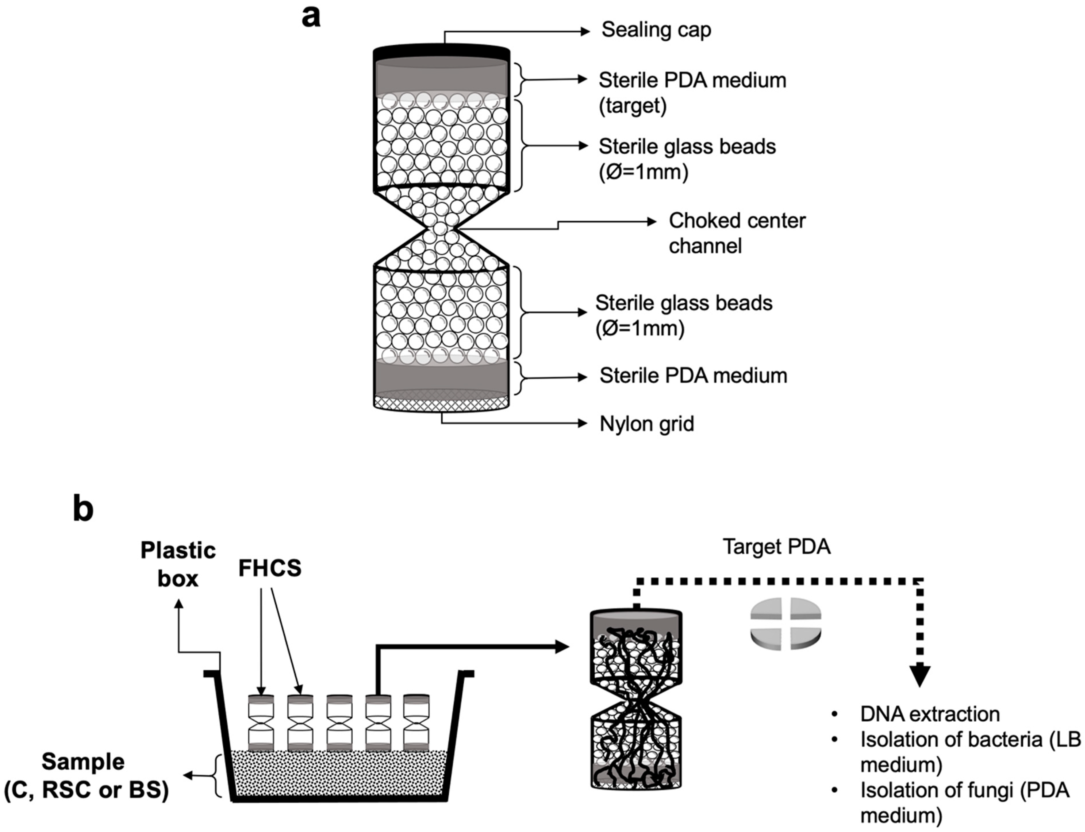 Agronomy 11 01567 g001