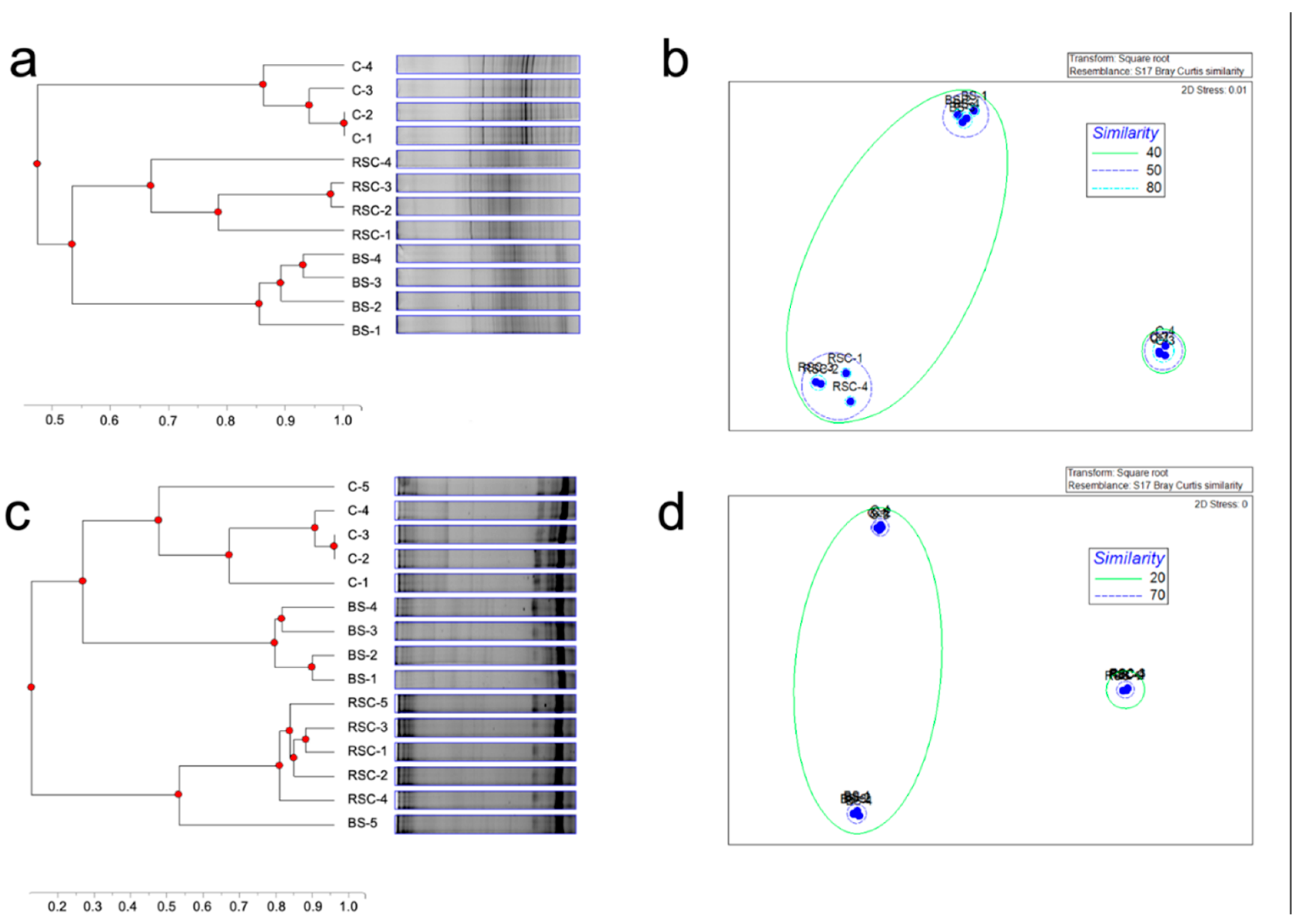 Agronomy 11 01567 g002