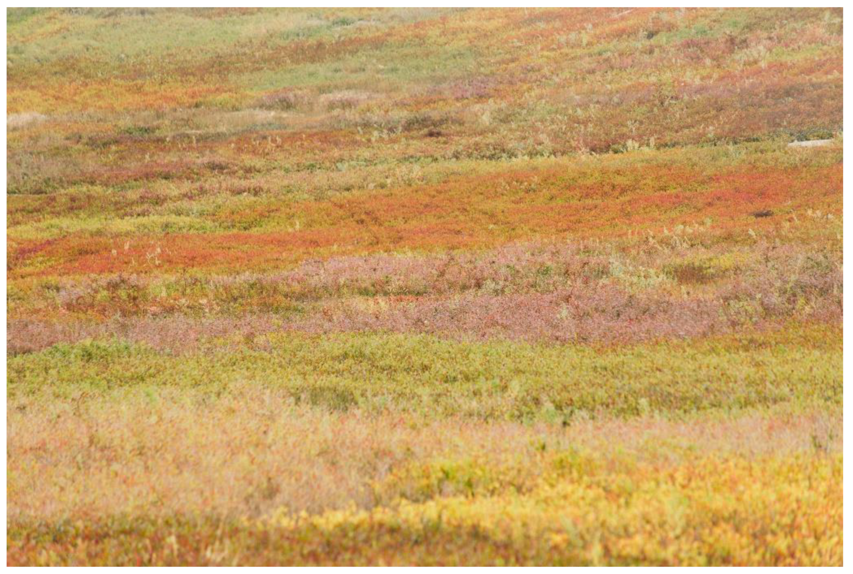 Agronomy 11 01572 g002