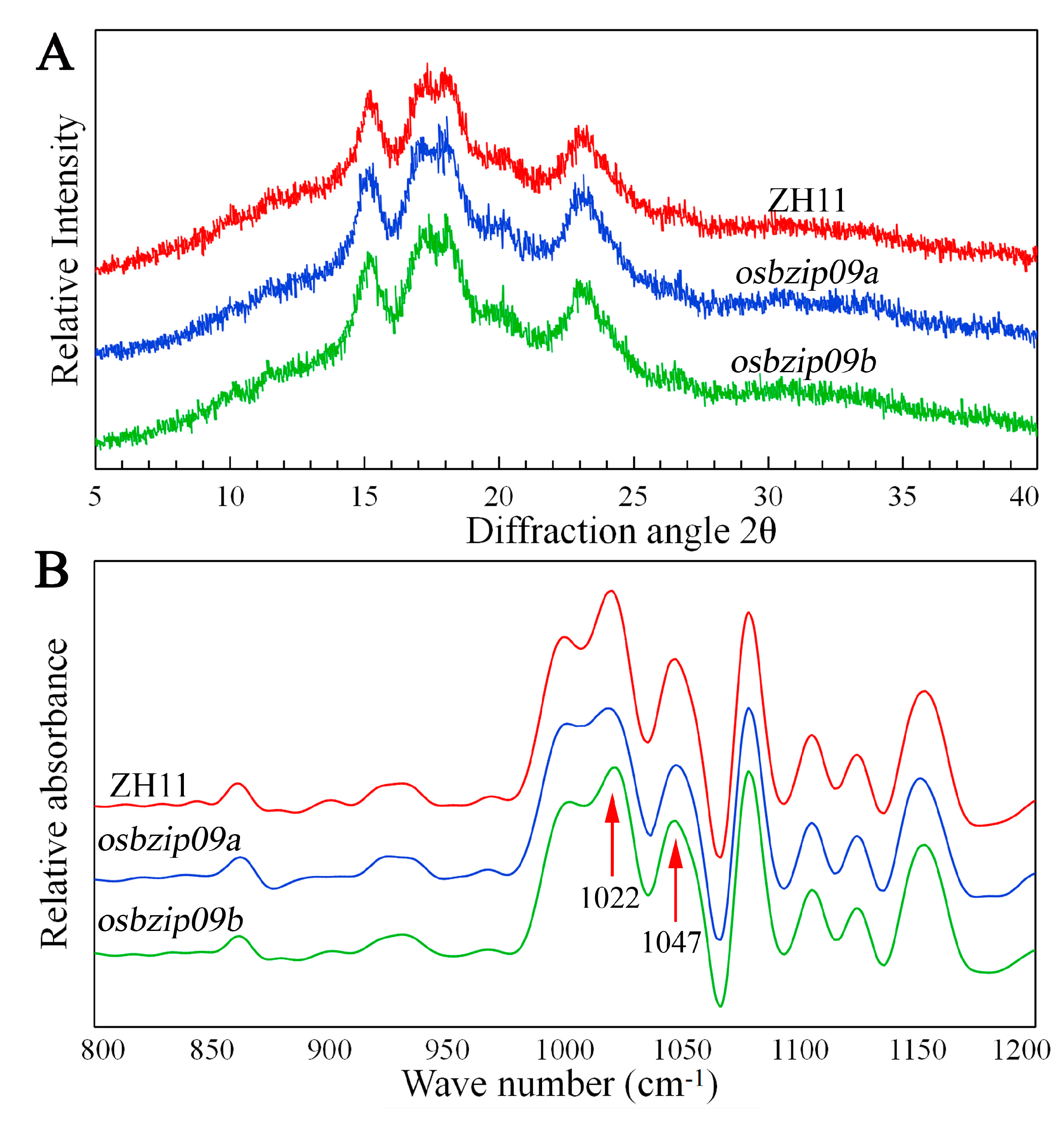 Agronomy 11 01575 g005