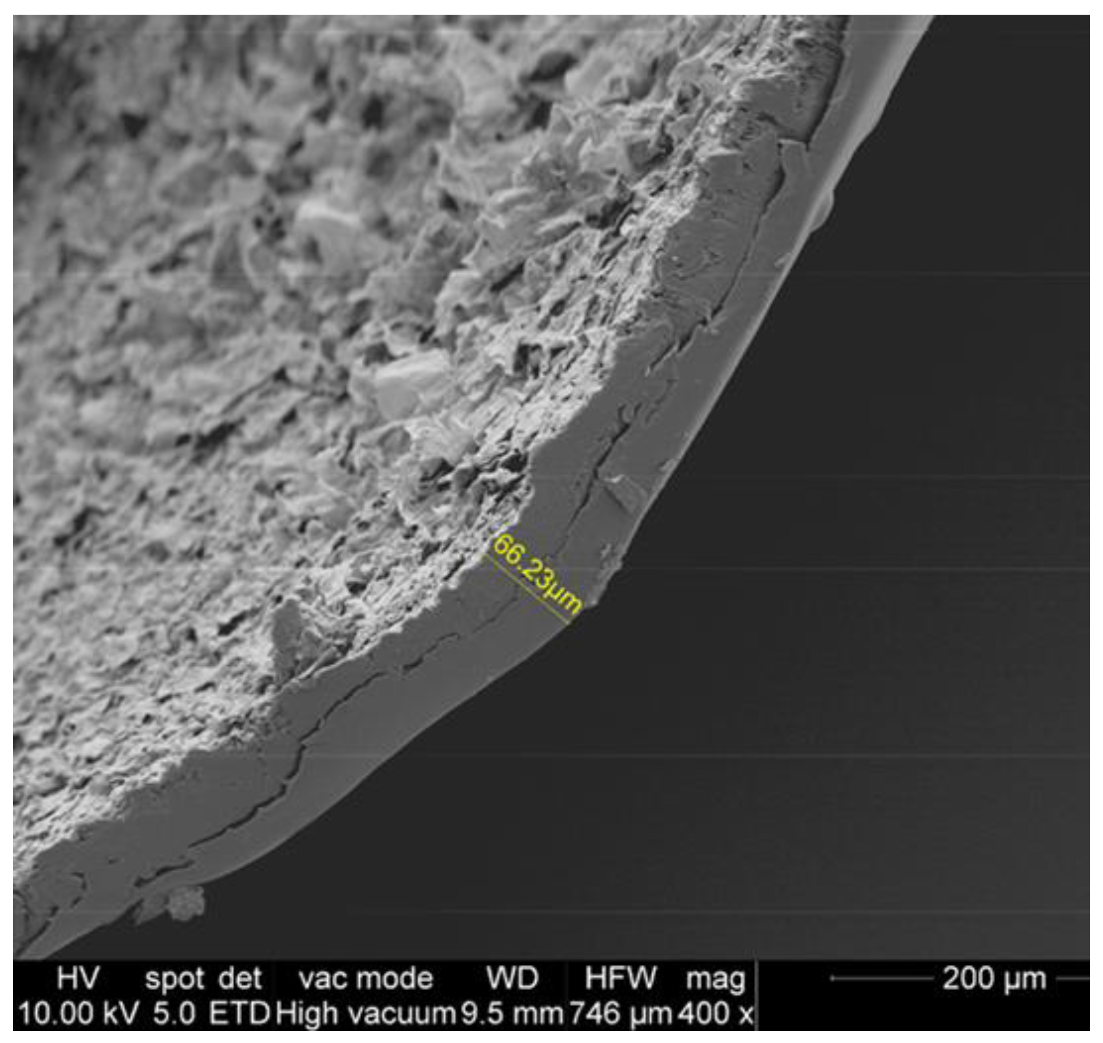 Agronomy 11 01578 g002