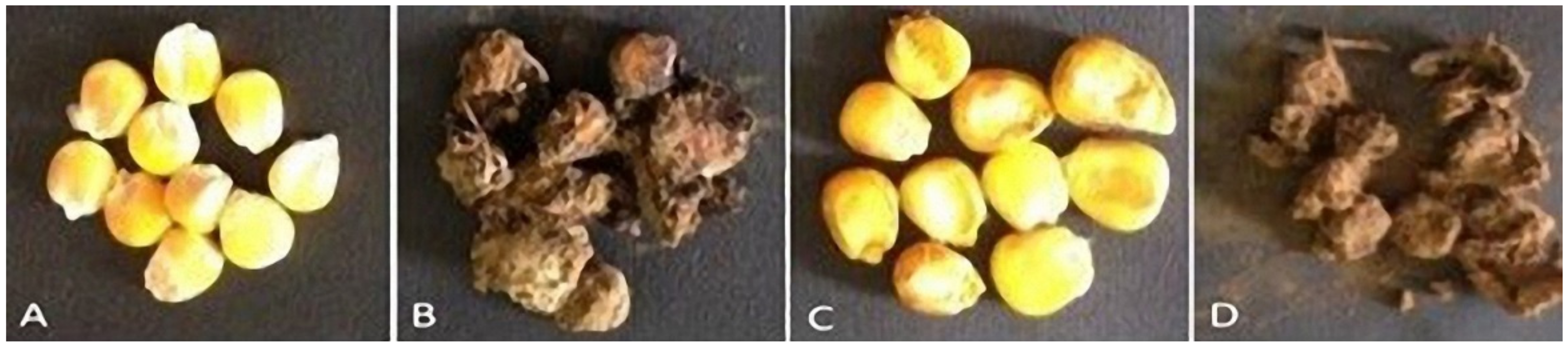 Agronomy 11 01587 g001 Agronomy 11 01587 g001