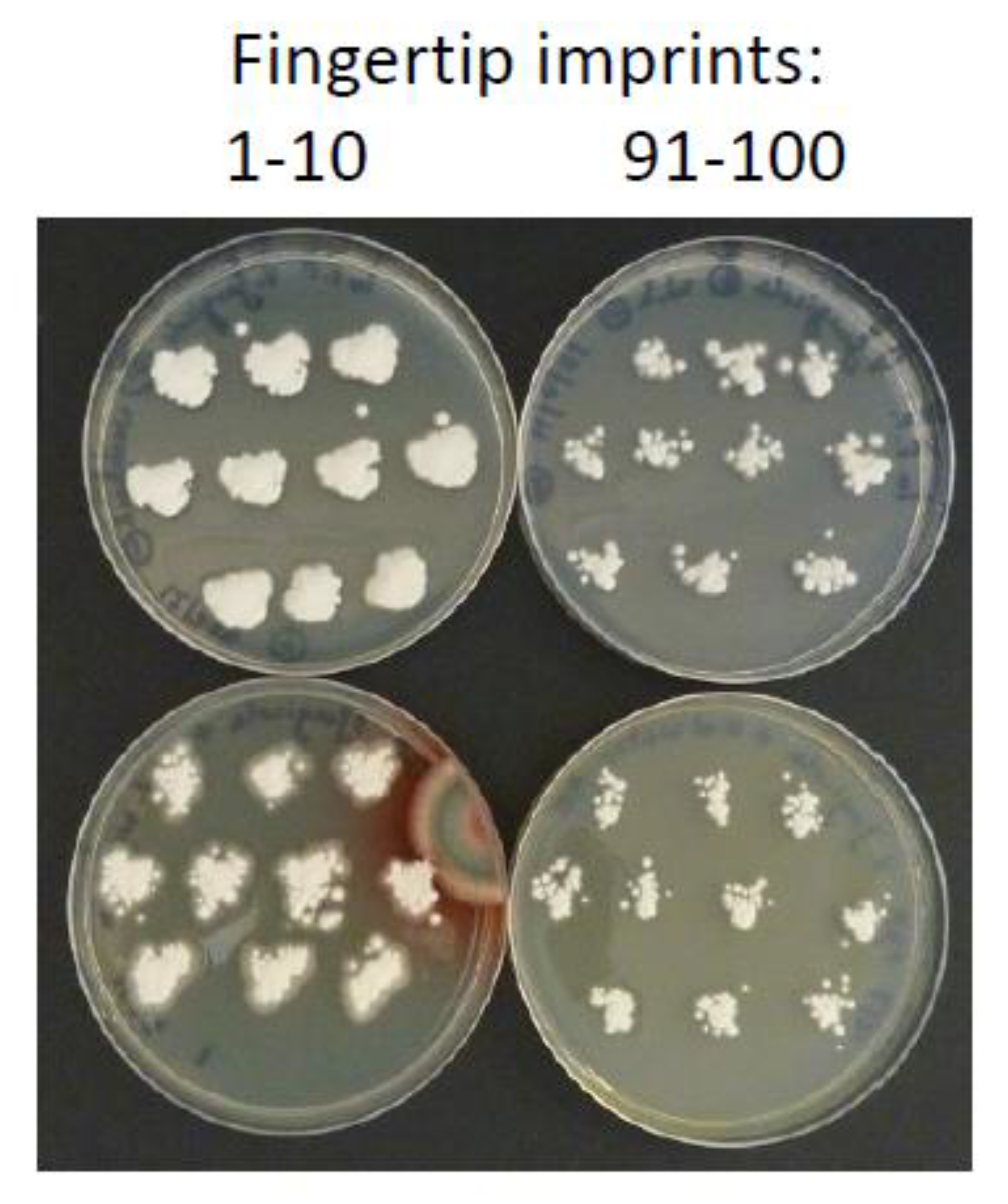 Agronomy 11 01600 g003