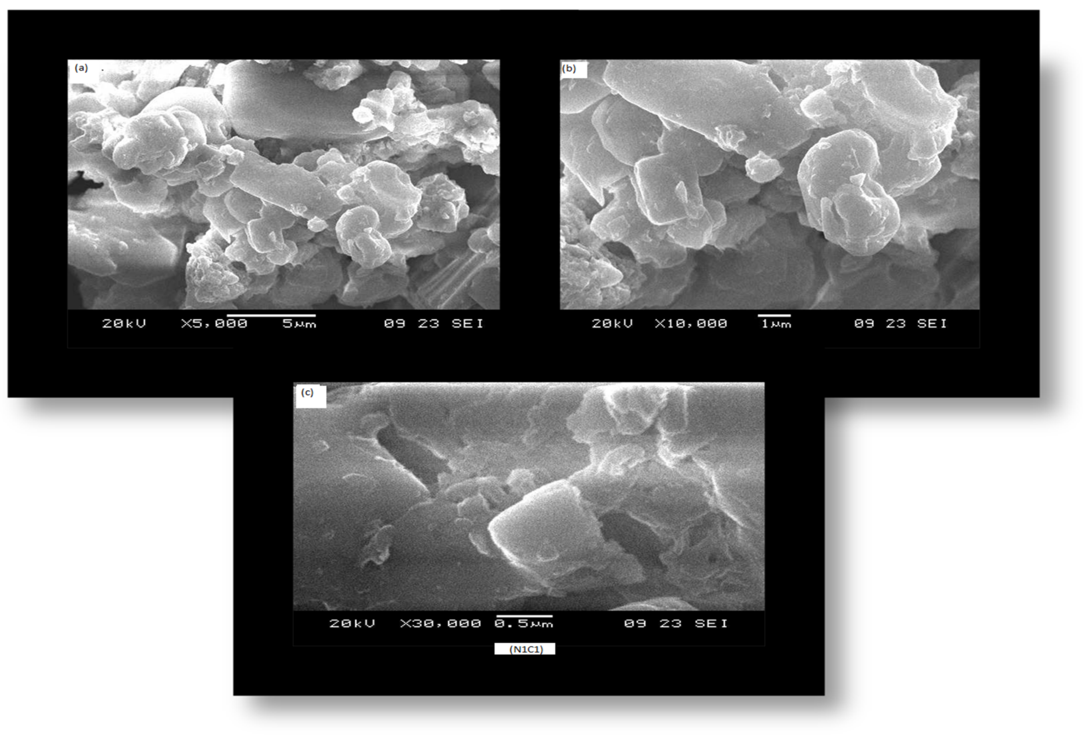 Agronomy 11 01607 g003