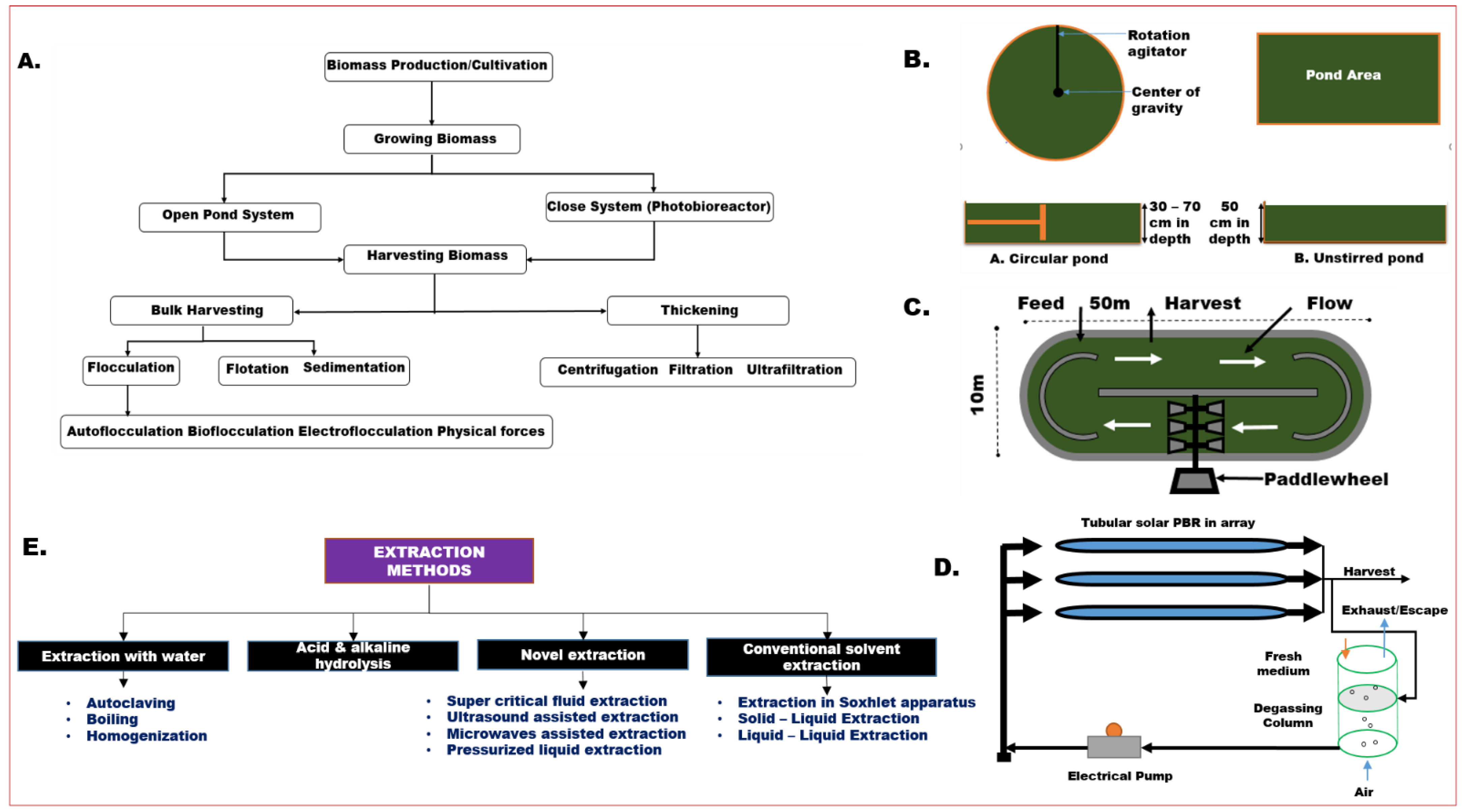 Agronomy 11 01610 g001