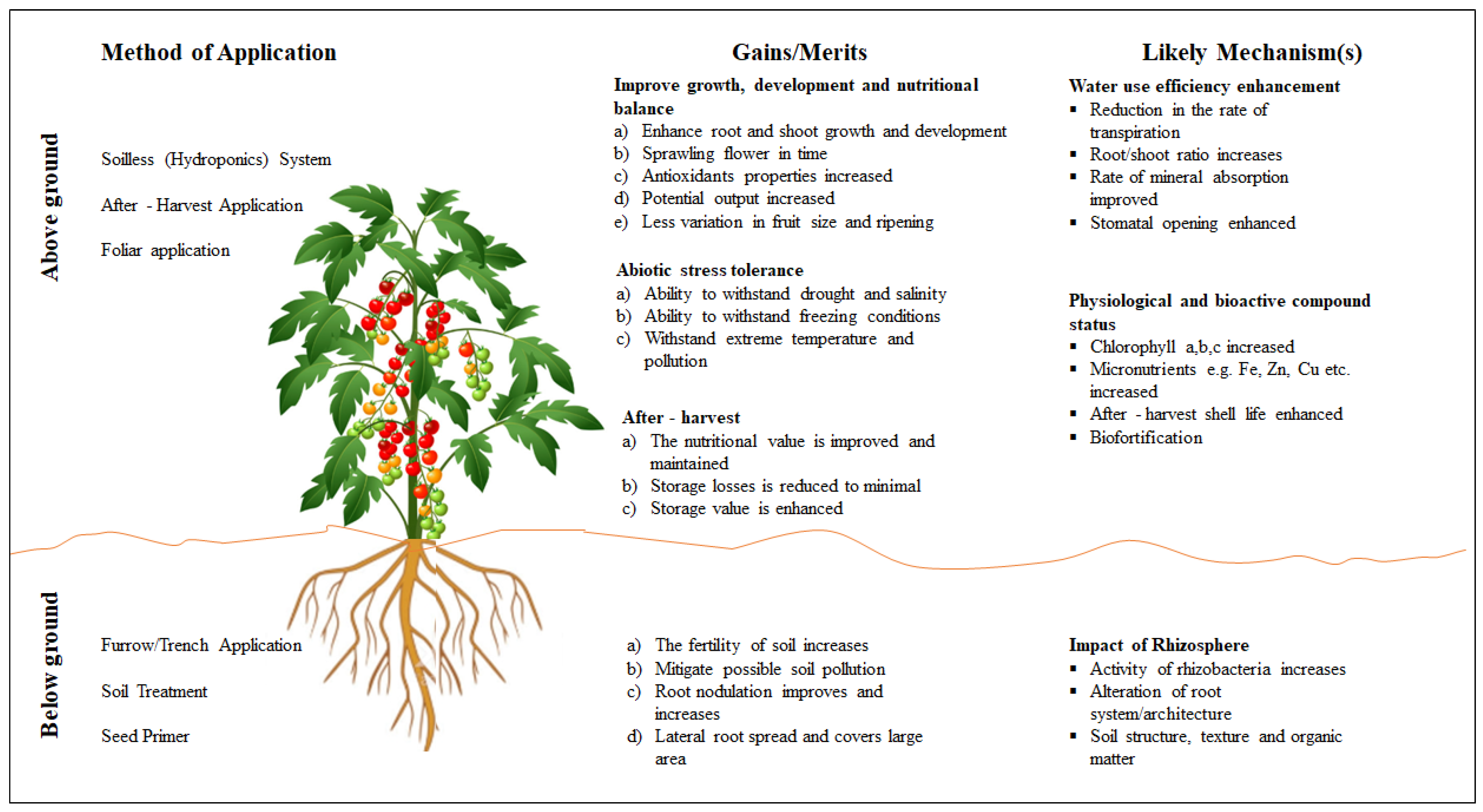 Agronomy 11 01610 g005