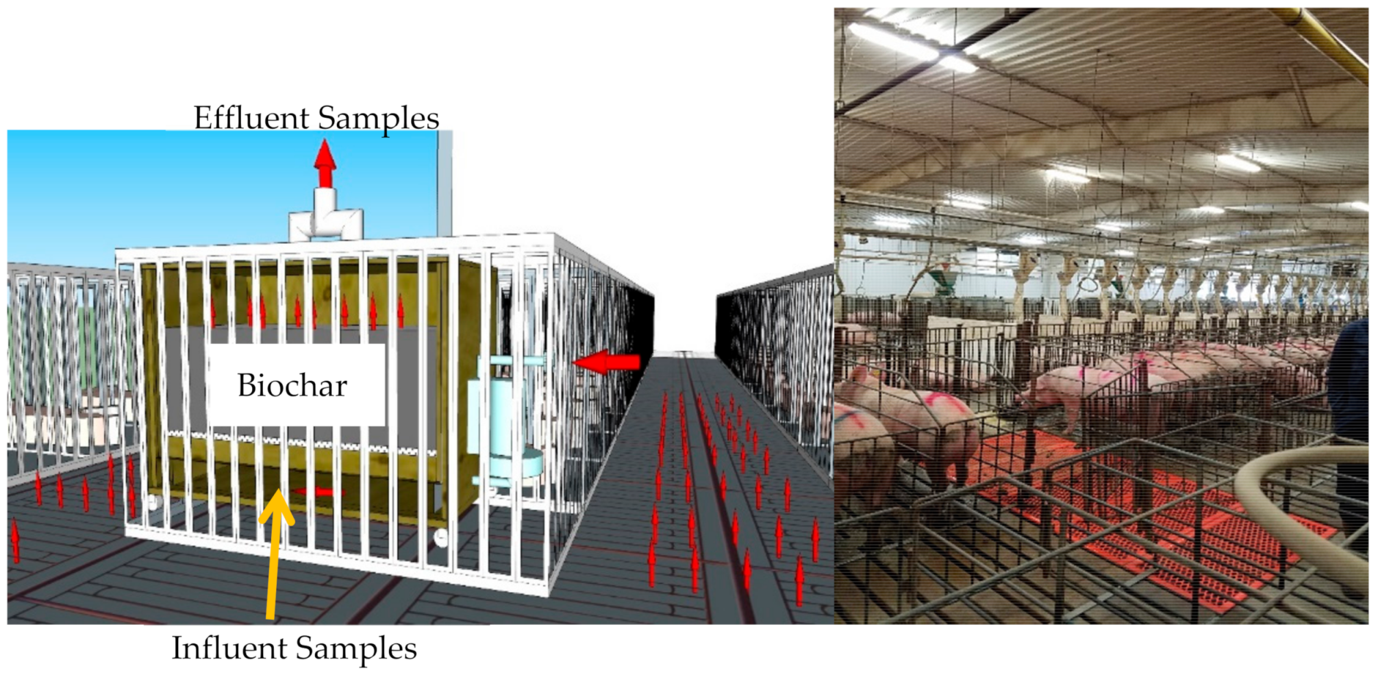 Agronomy Free Full Text Pilot Scale H2s And Swine Odor Removal System Using Commercially Available Biochar Html Agronomy Free Full Text Pilot Scale H2s And Swine Odor Removal System Using Commercially Available Biochar Html
