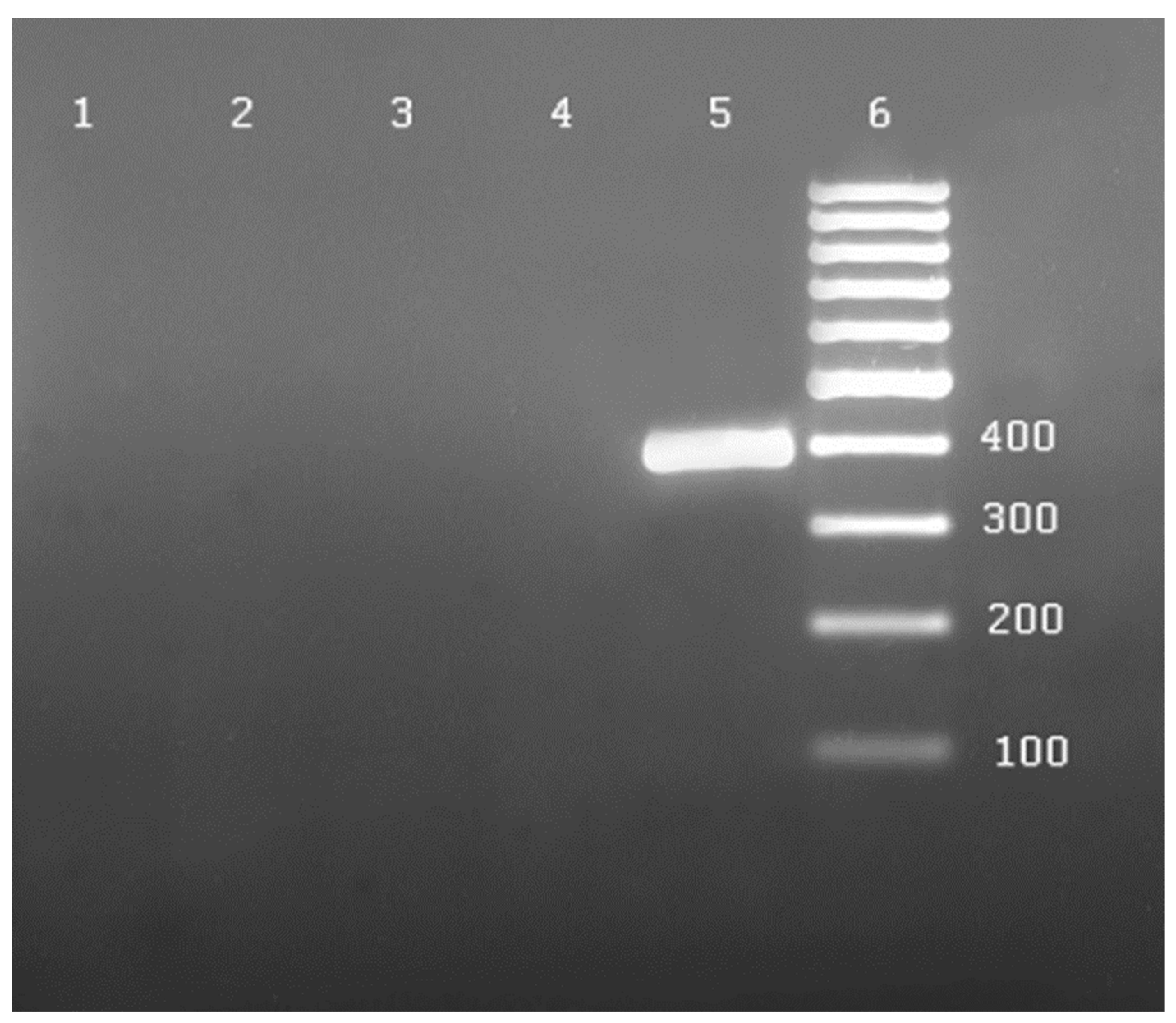 Agronomy 11 01617 g002 550