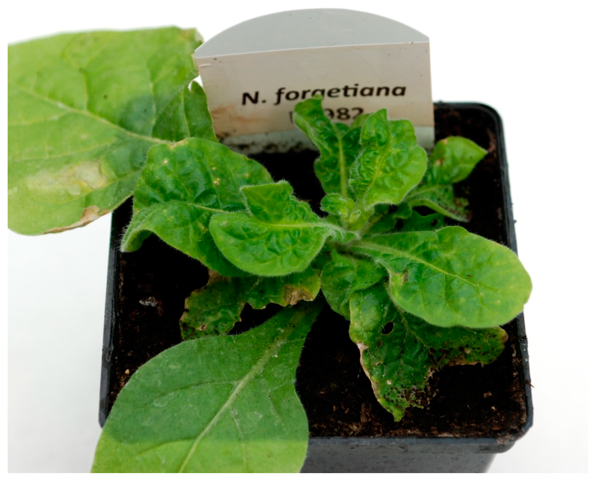 Agronomy 11 01617 g005 550