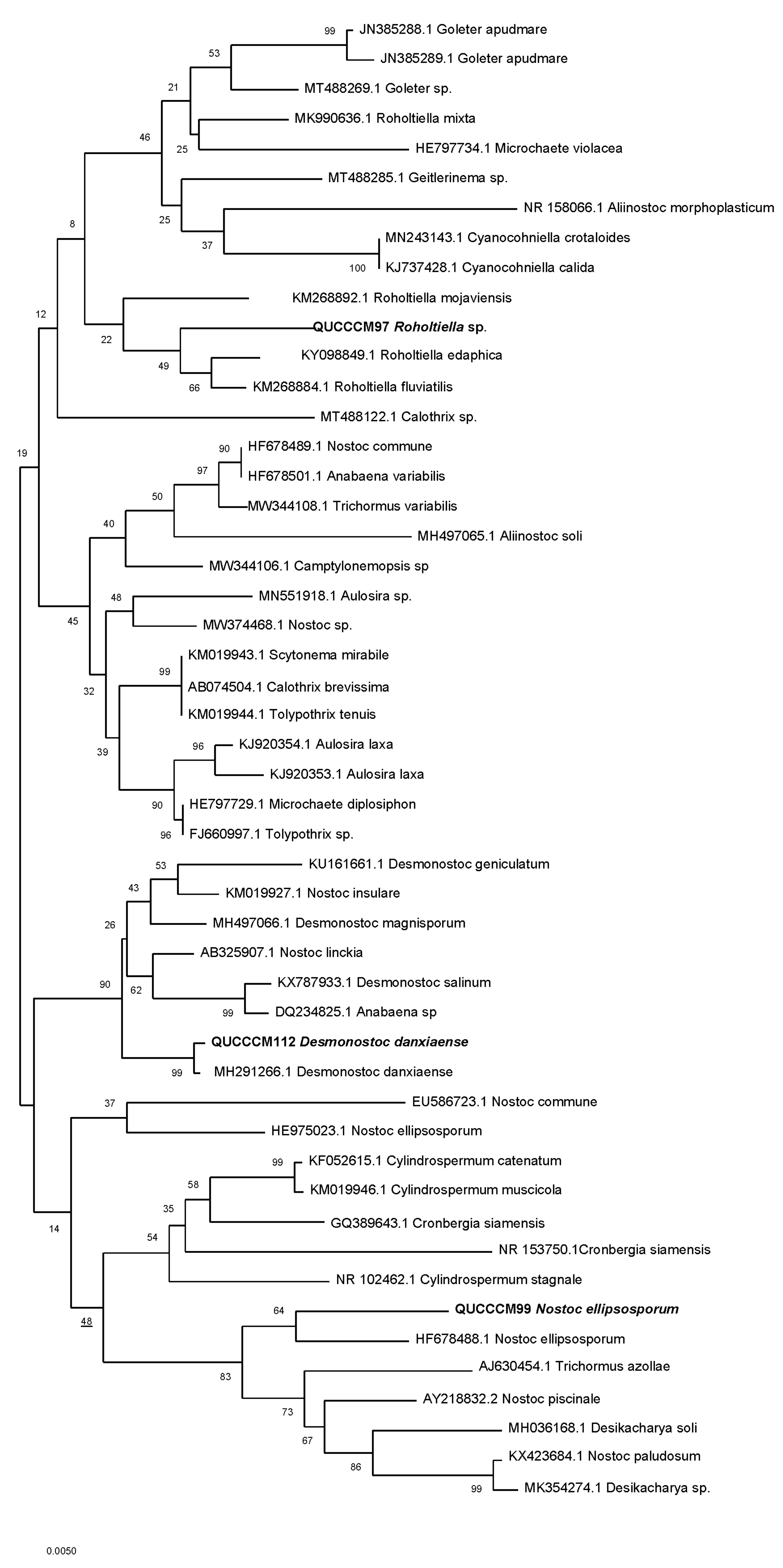Agronomy 11 01624 g004 Agronomy 11 01624 g004