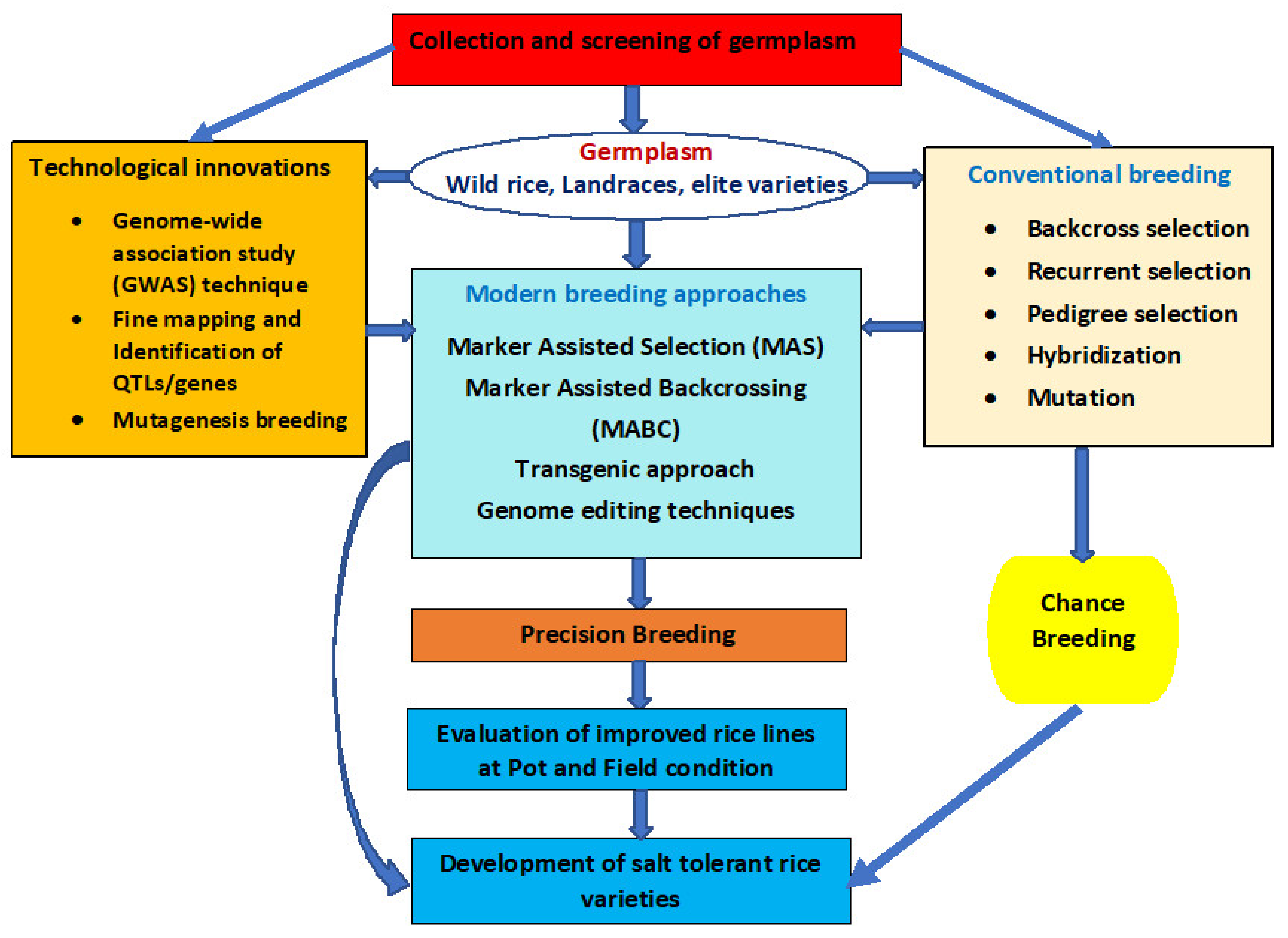 Agronomy 11 01631 g002