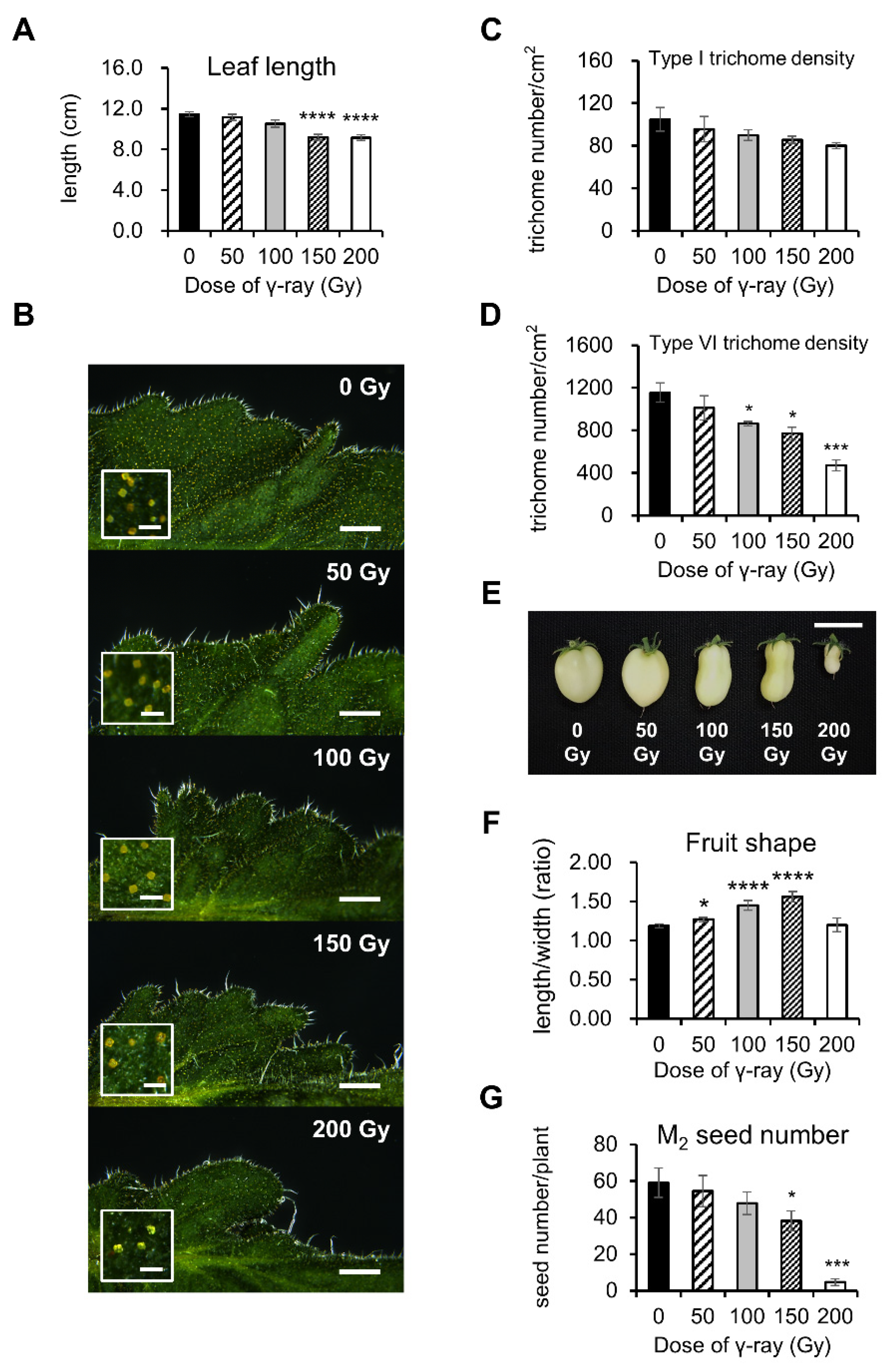 Agronomy 11 01638 g001 Agronomy 11 01638 g001