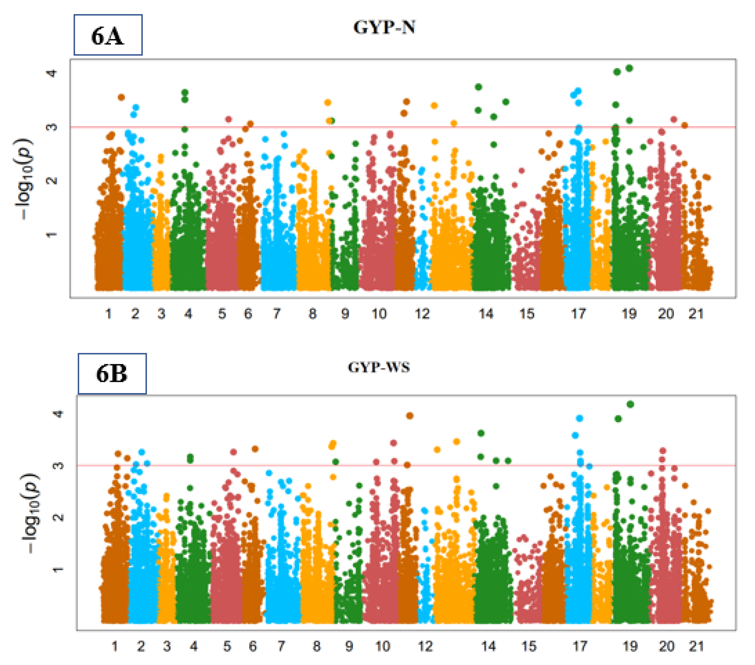 Agronomy 11 01646 g006