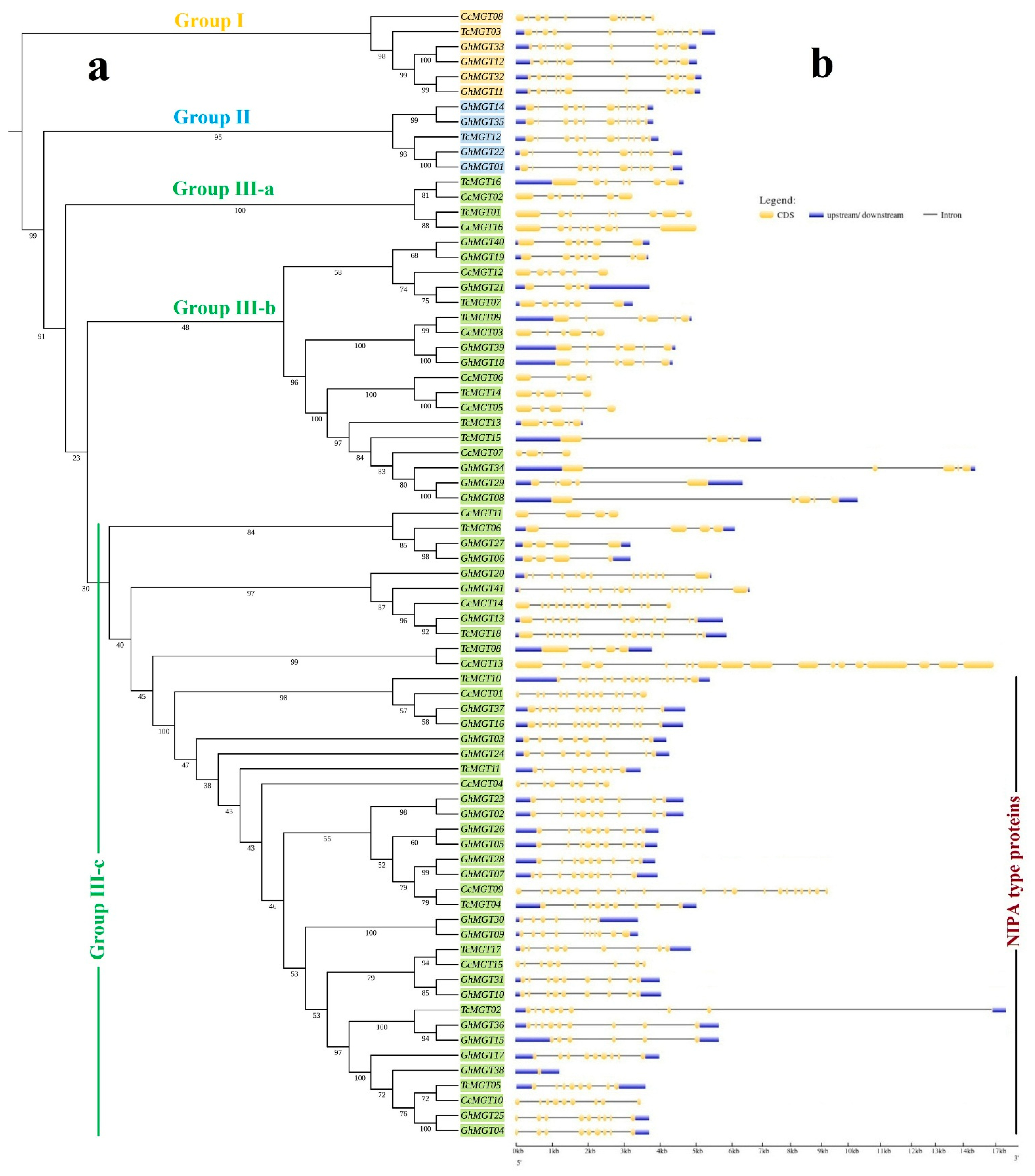Agronomy 11 01651 g001 Agronomy 11 01651 g001