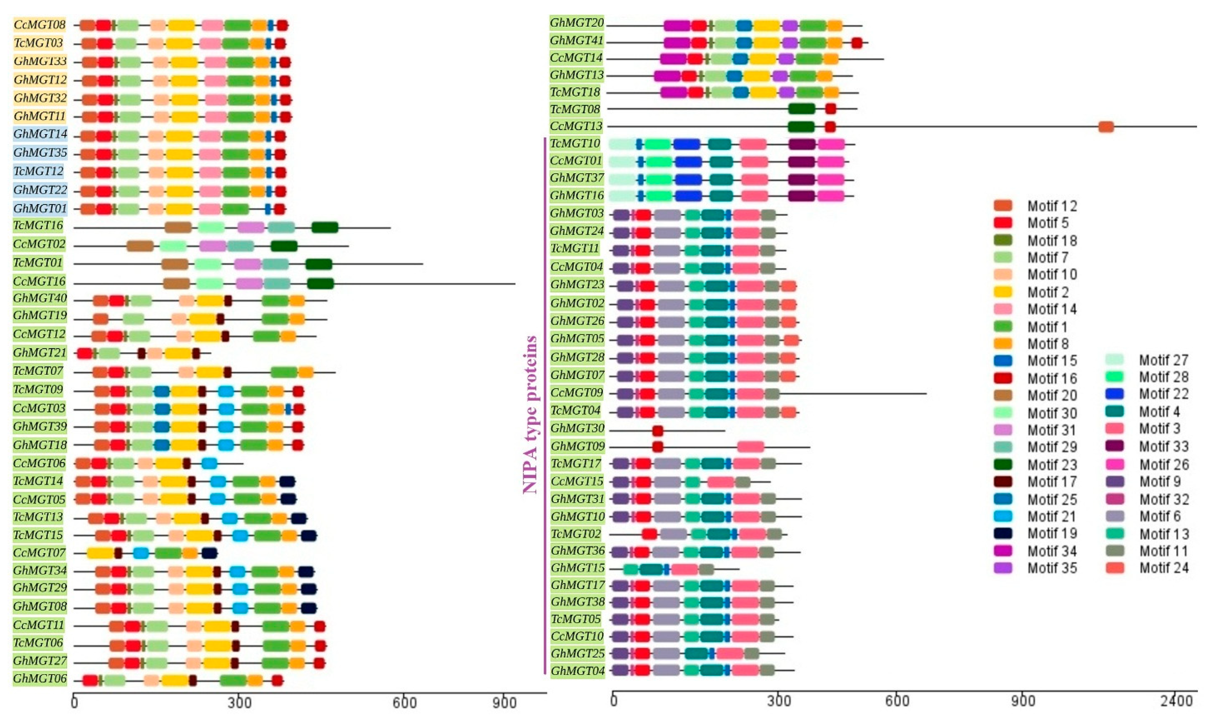 Agronomy 11 01651 g002 Agronomy 11 01651 g002