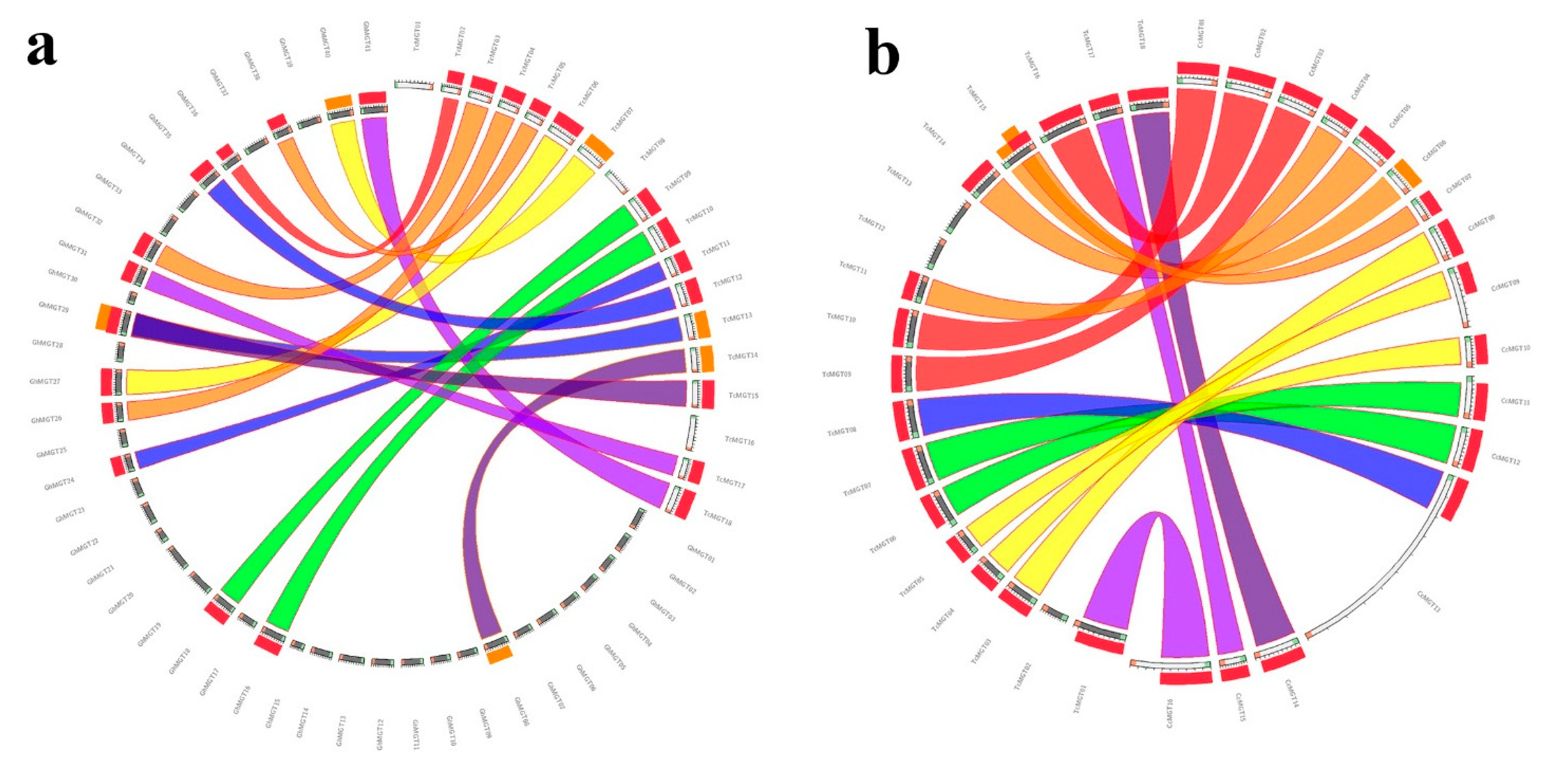 Agronomy 11 01651 g004 Agronomy 11 01651 g004