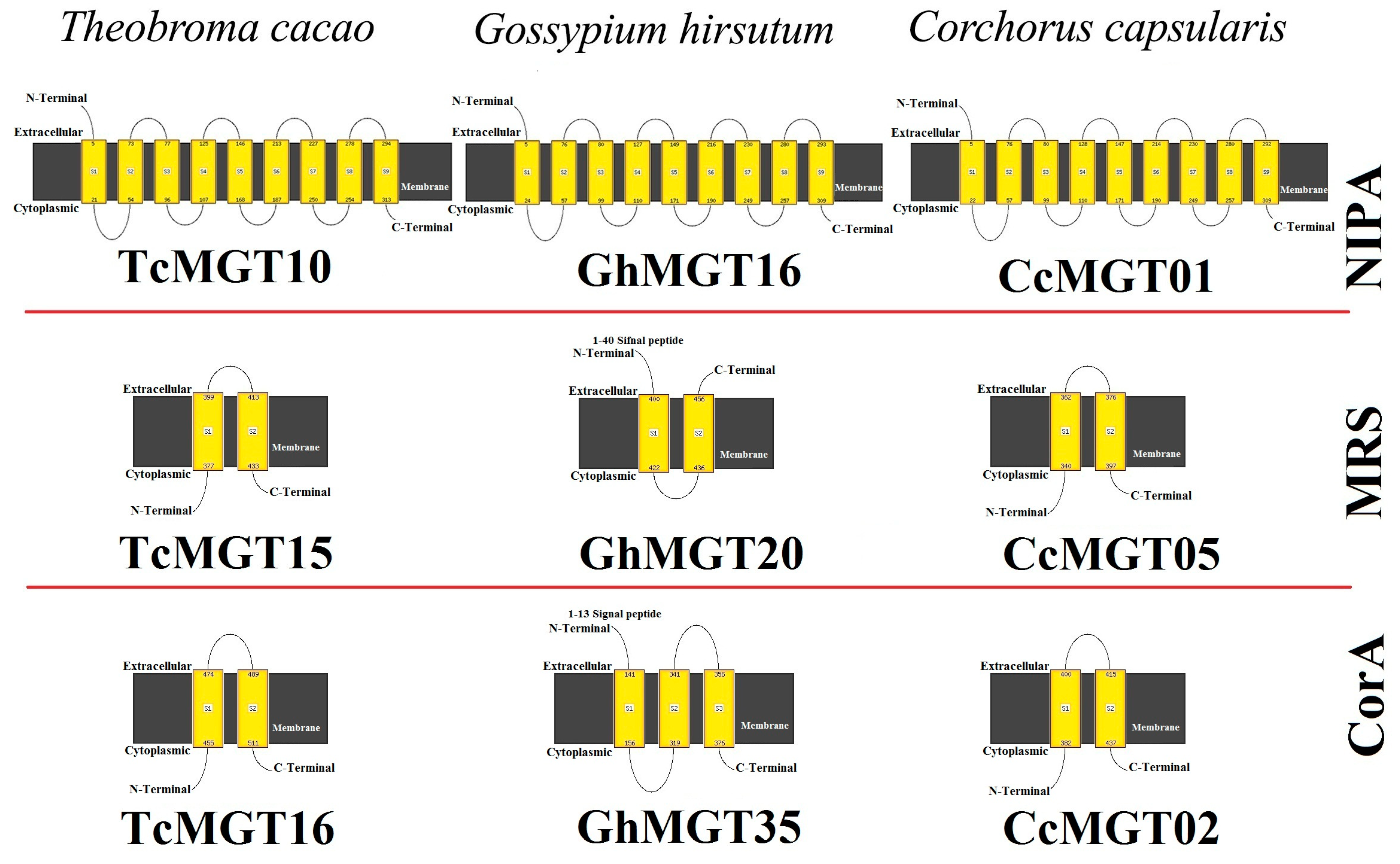 Agronomy 11 01651 g005 Agronomy 11 01651 g005