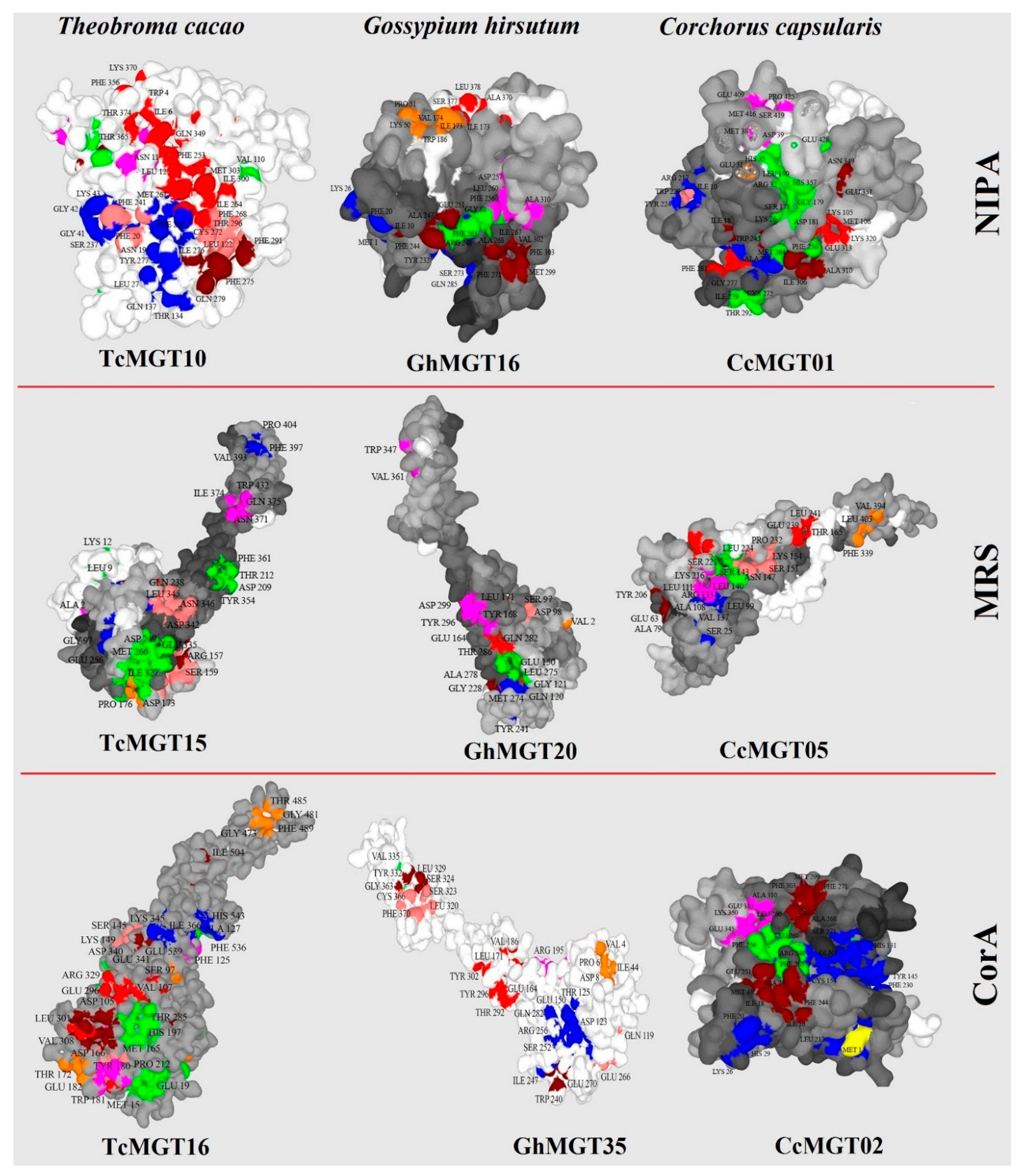 Agronomy 11 01651 g006 Agronomy 11 01651 g006
