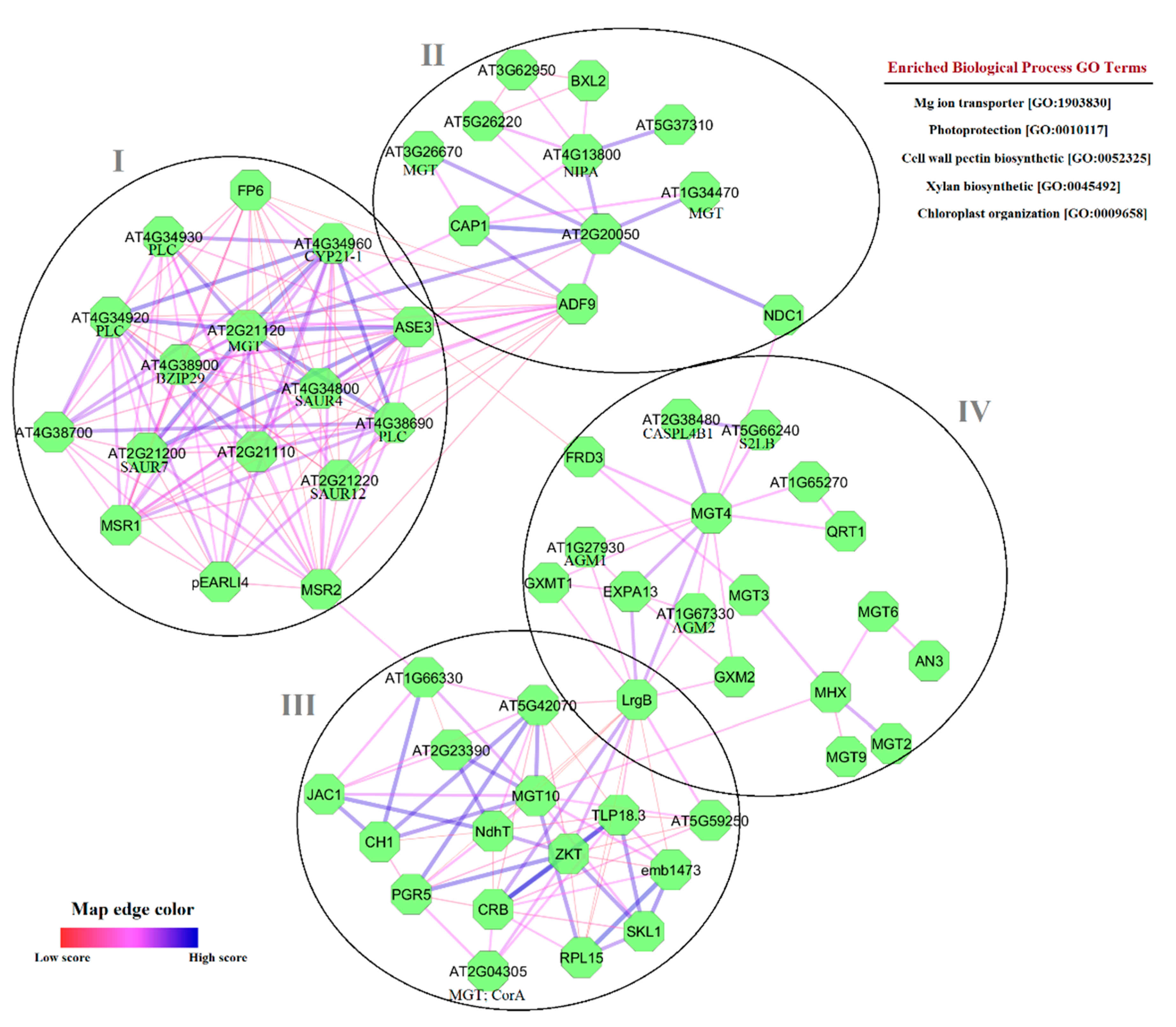 Agronomy 11 01651 g010 Agronomy 11 01651 g010