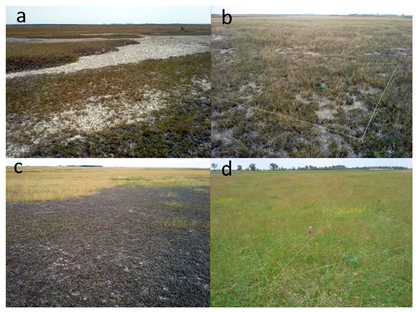 Agronomy 11 01652 g003