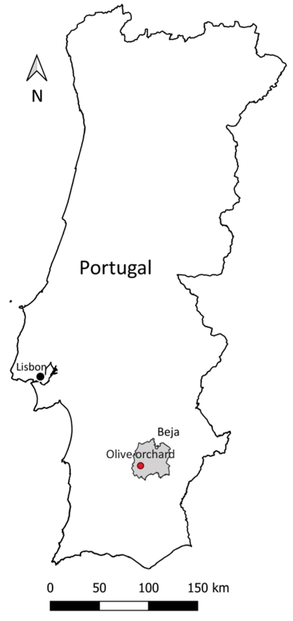 Agronomy 11 01658 g001 550