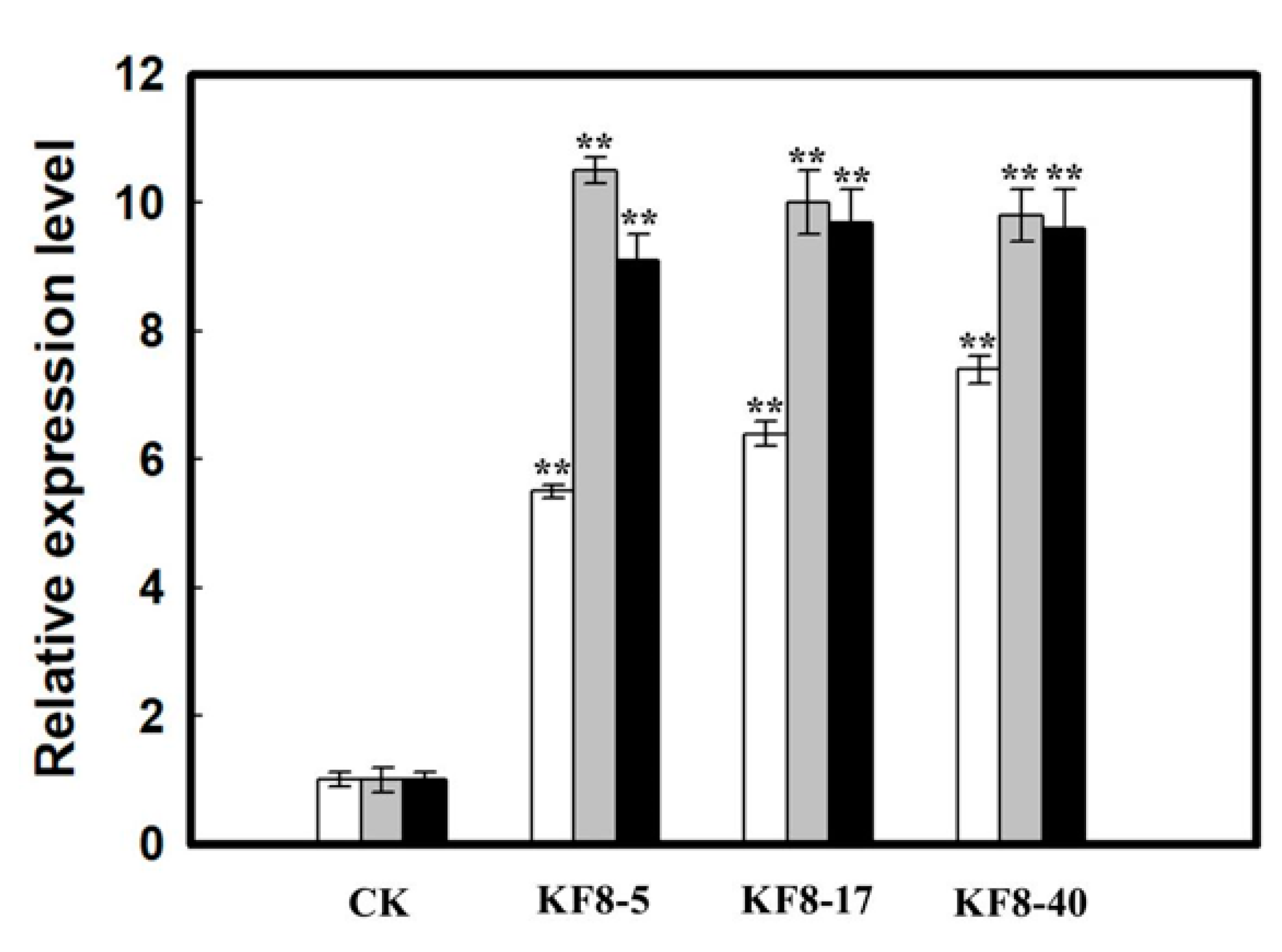 Agronomy 11 01668 g008 Agronomy 11 01668 g008