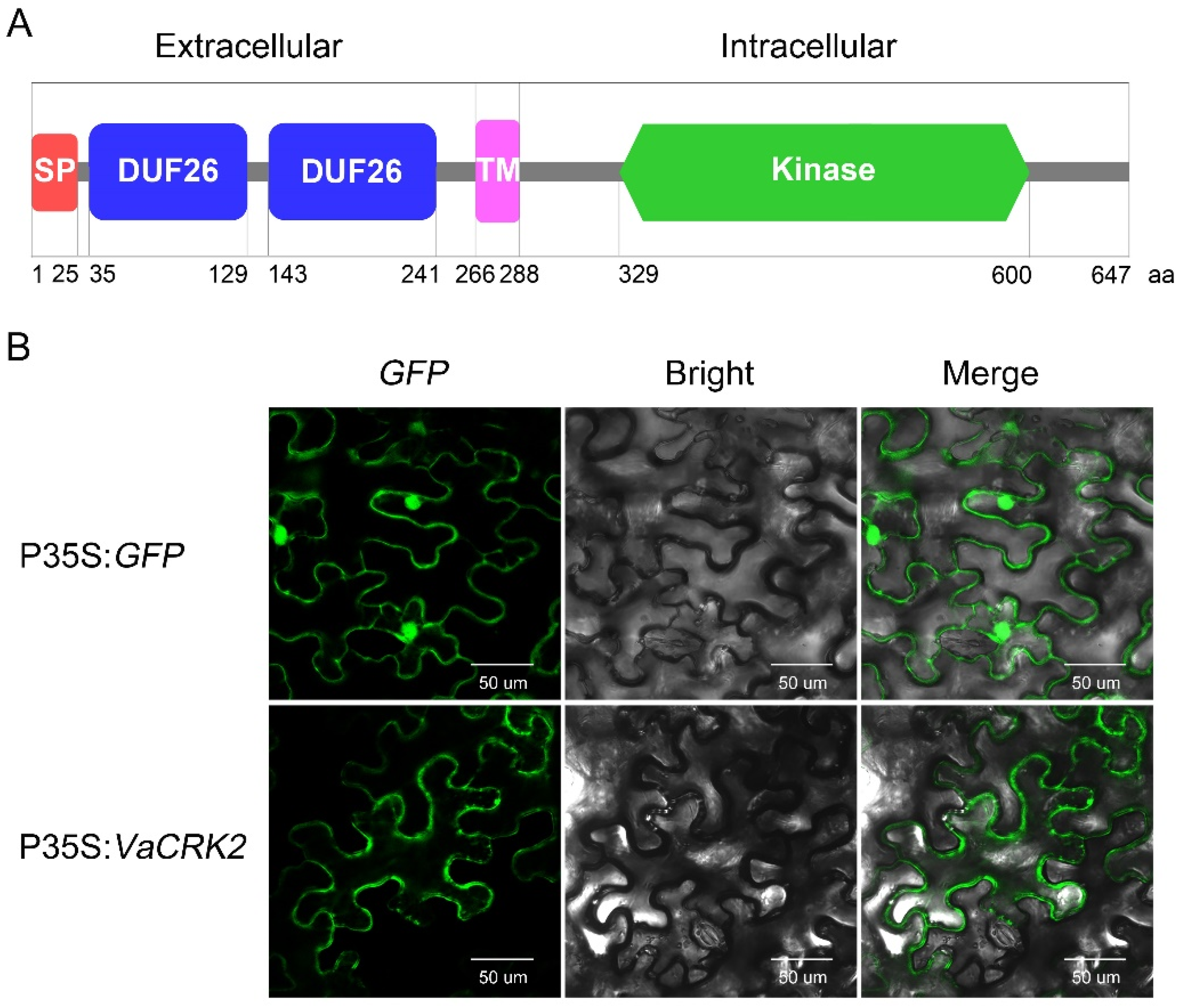 Agronomy 11 01672 g002