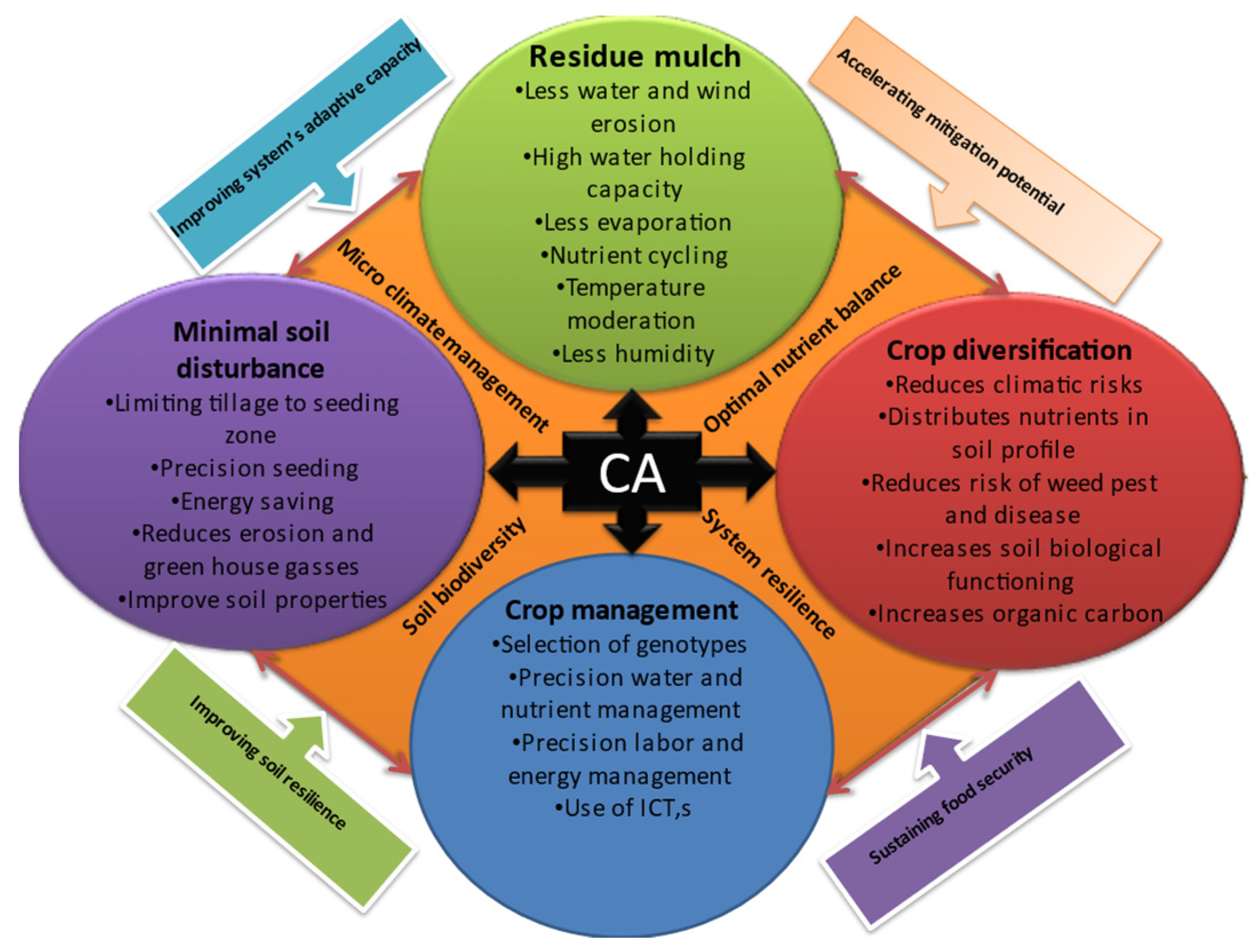 A soil productivity system reveals most Brazilian agricultural lands are  below their maximum potential