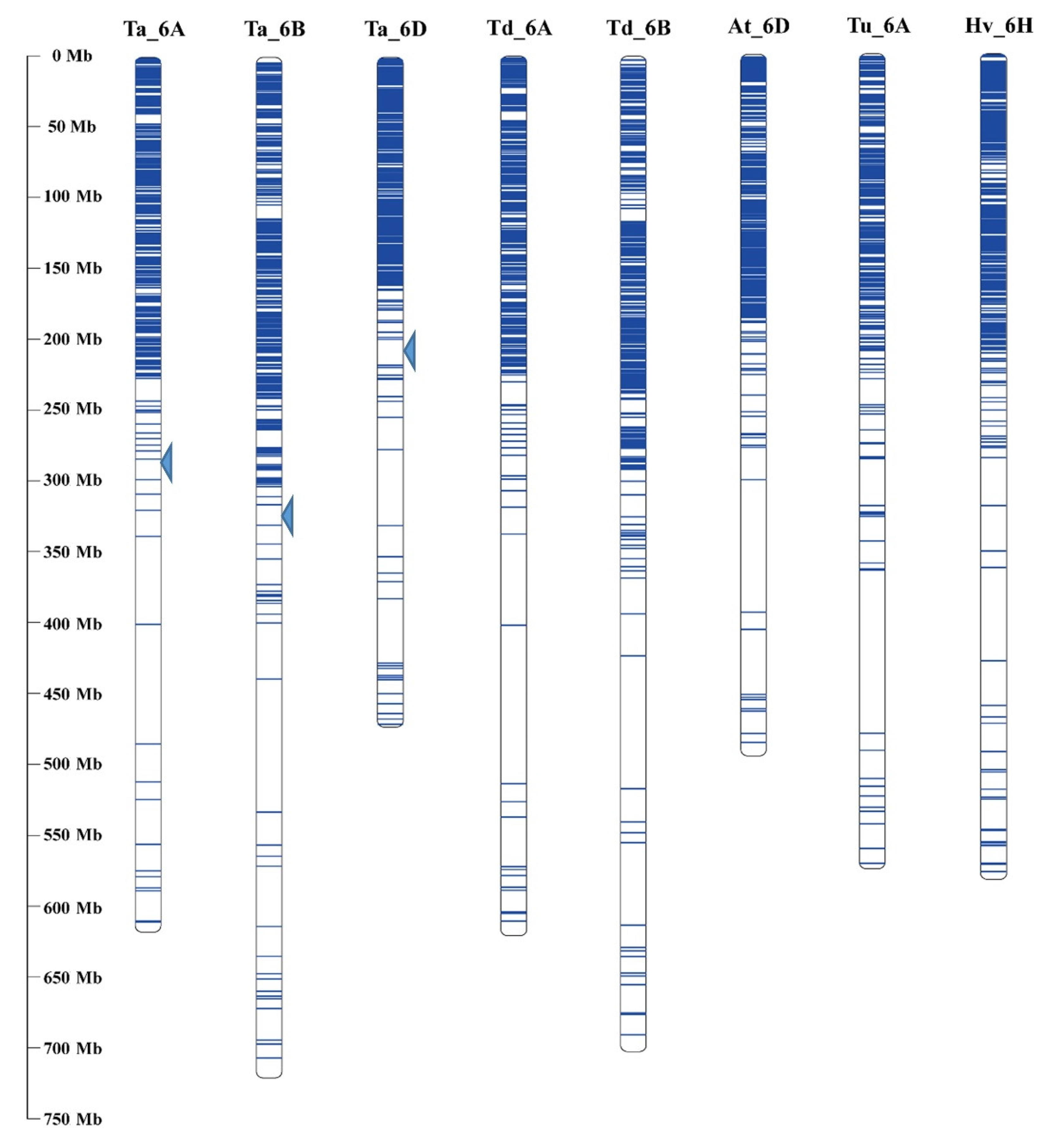 Agronomy 11 01695 g002 Agronomy 11 01695 g002