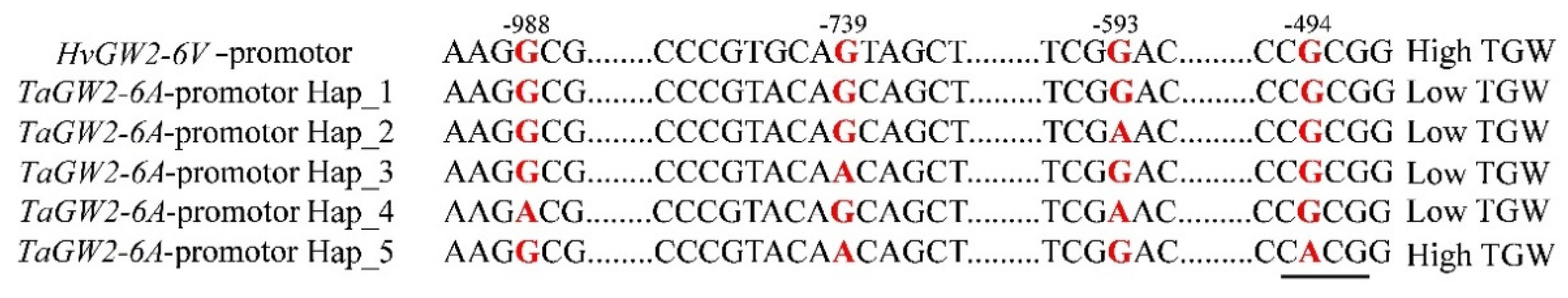 Agronomy 11 01695 g004 Agronomy 11 01695 g004