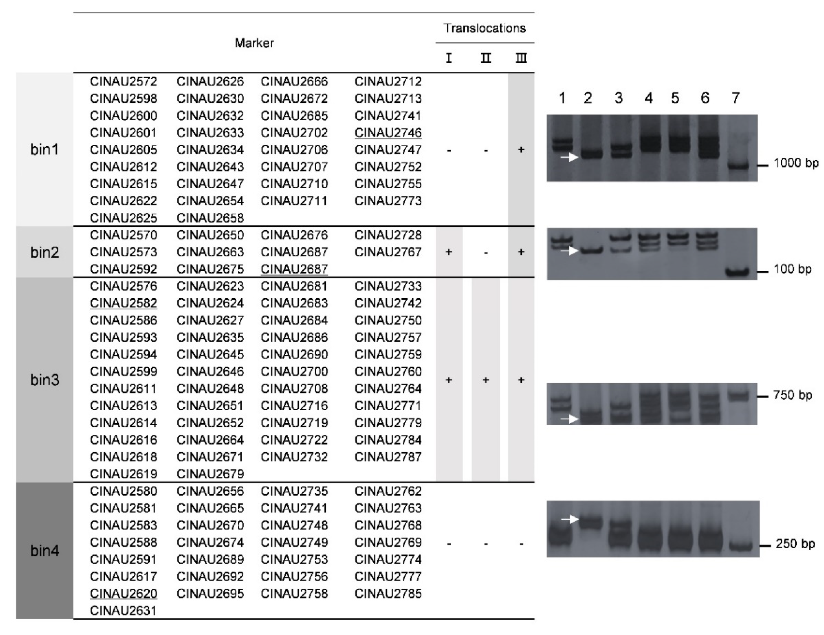 Agronomy 11 01695 g005 Agronomy 11 01695 g005