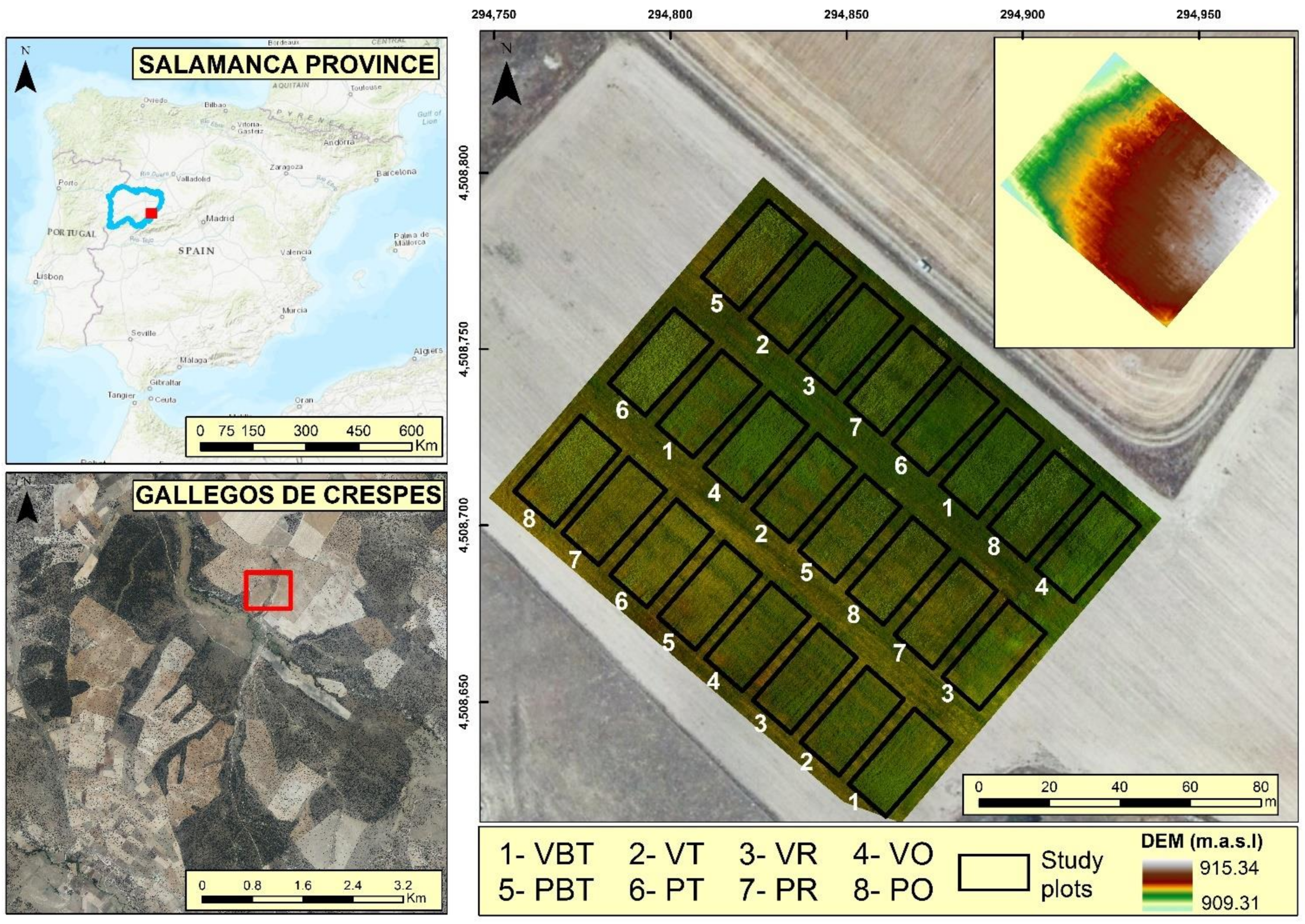 Agronomy 11 01697 g001