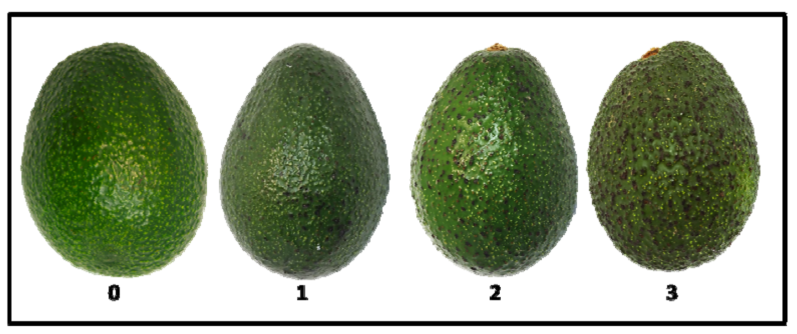 Agronomy 11 01699 g001