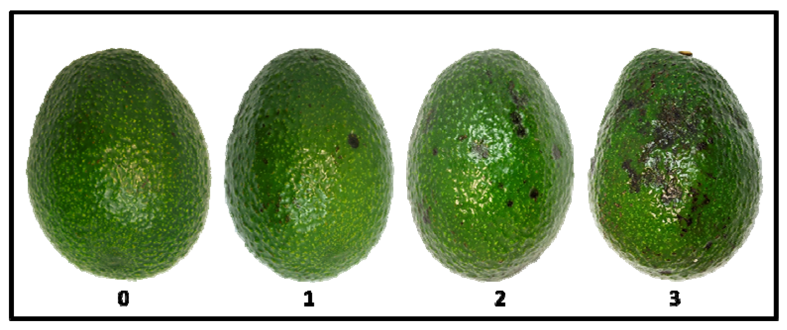 Agronomy 11 01699 g002