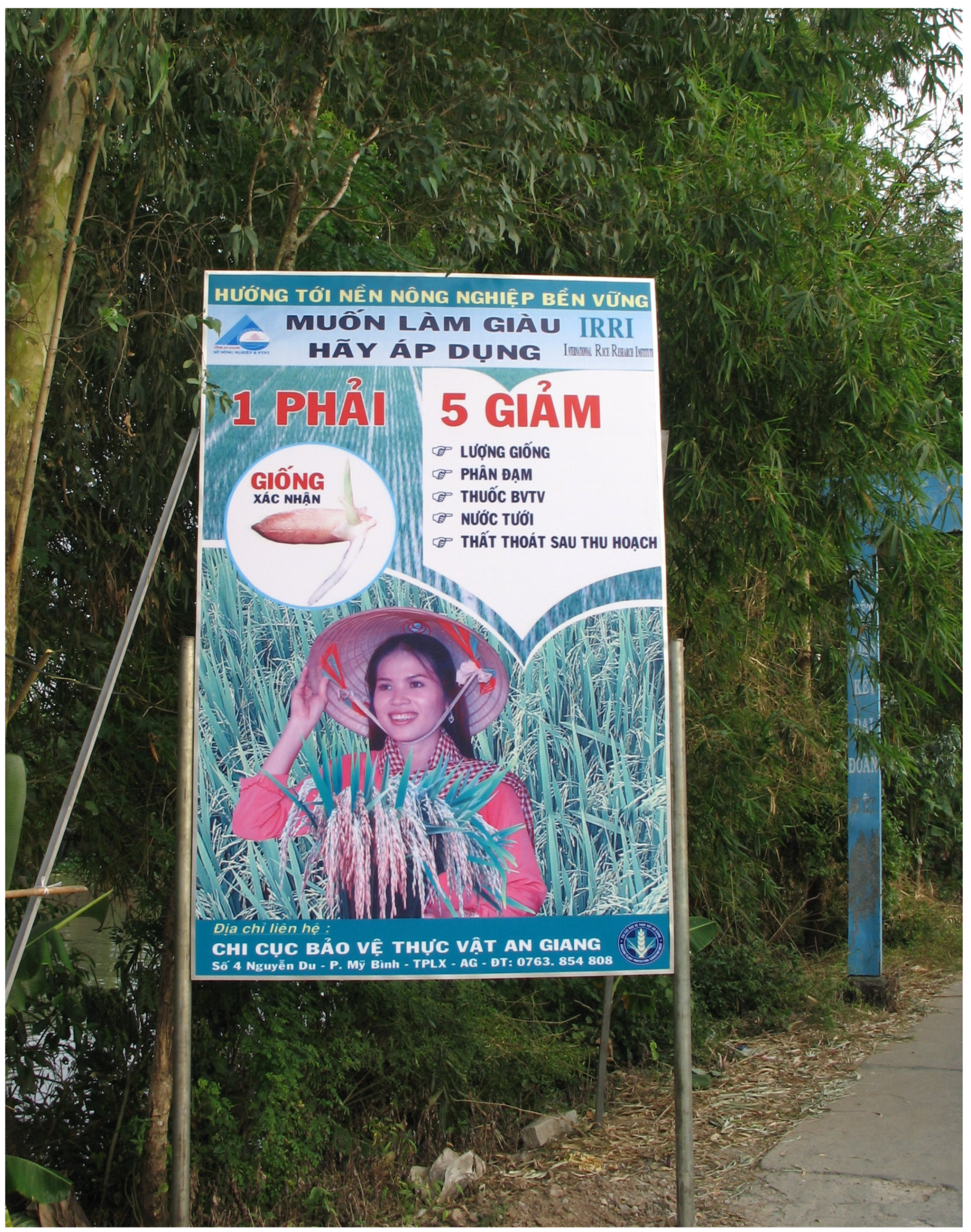 Agronomy 11 01707 g002 550