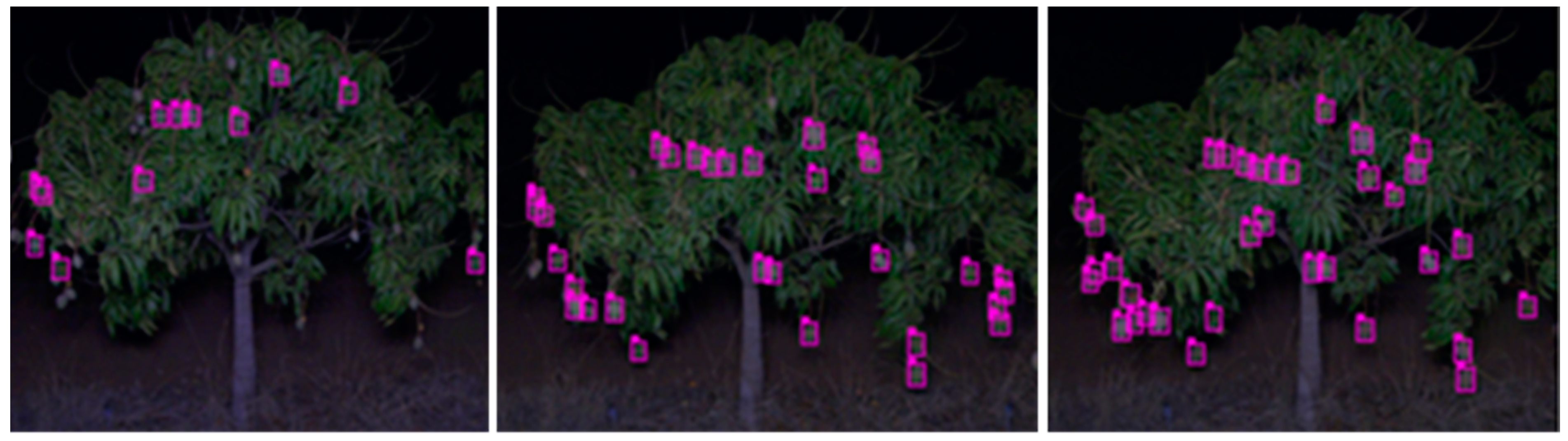 Agronomy 11 01711 g004