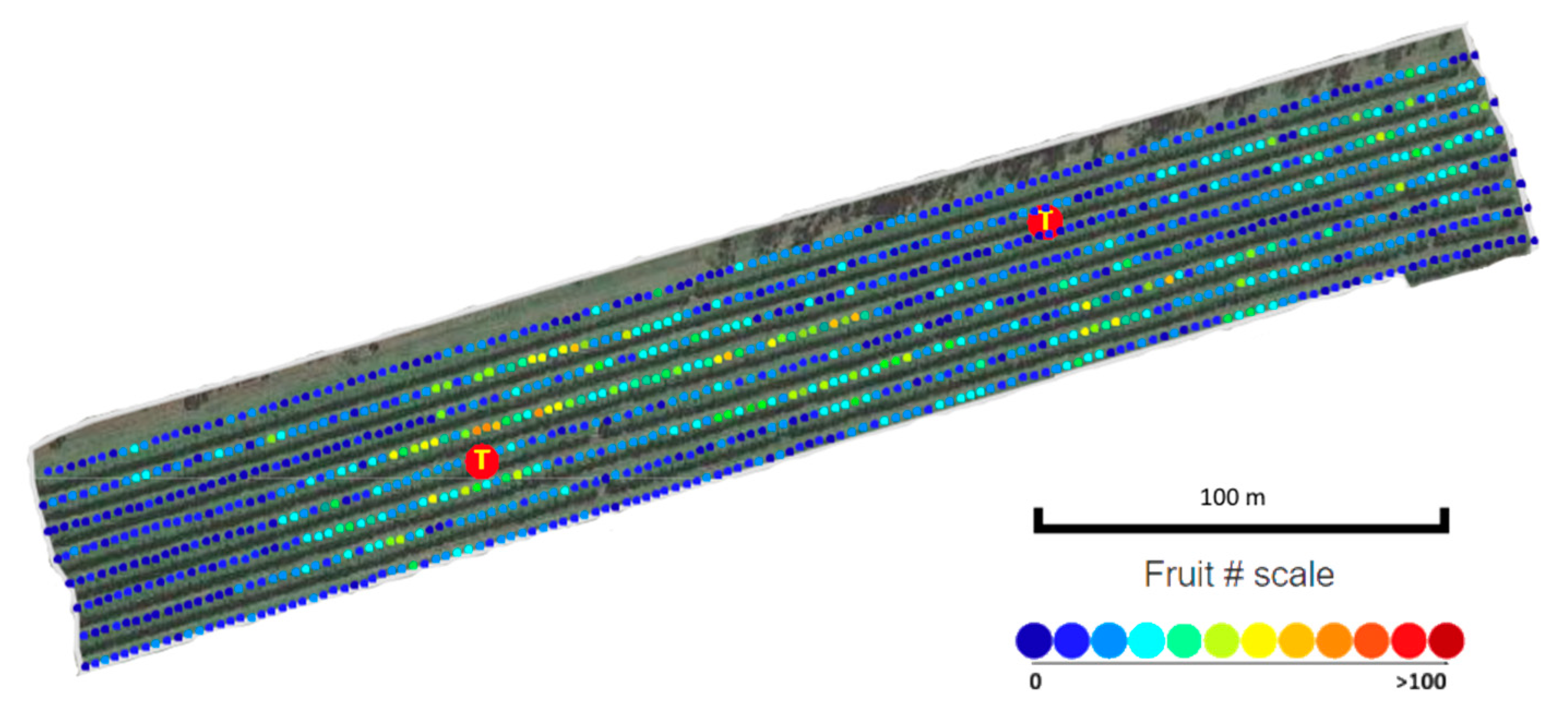 Agronomy 11 01711 g009b