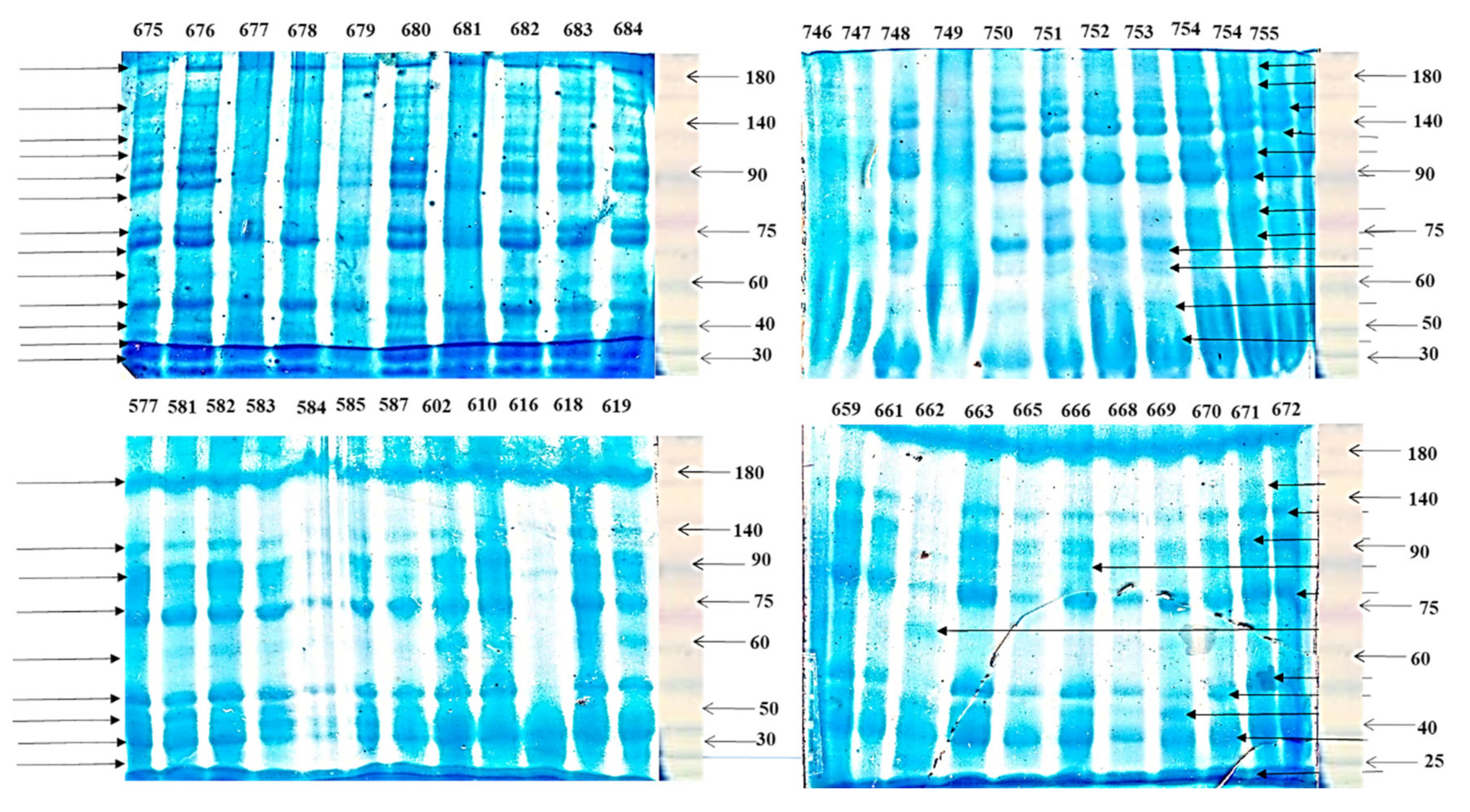 Agronomy 11 01713 g005 Agronomy 11 01713 g005