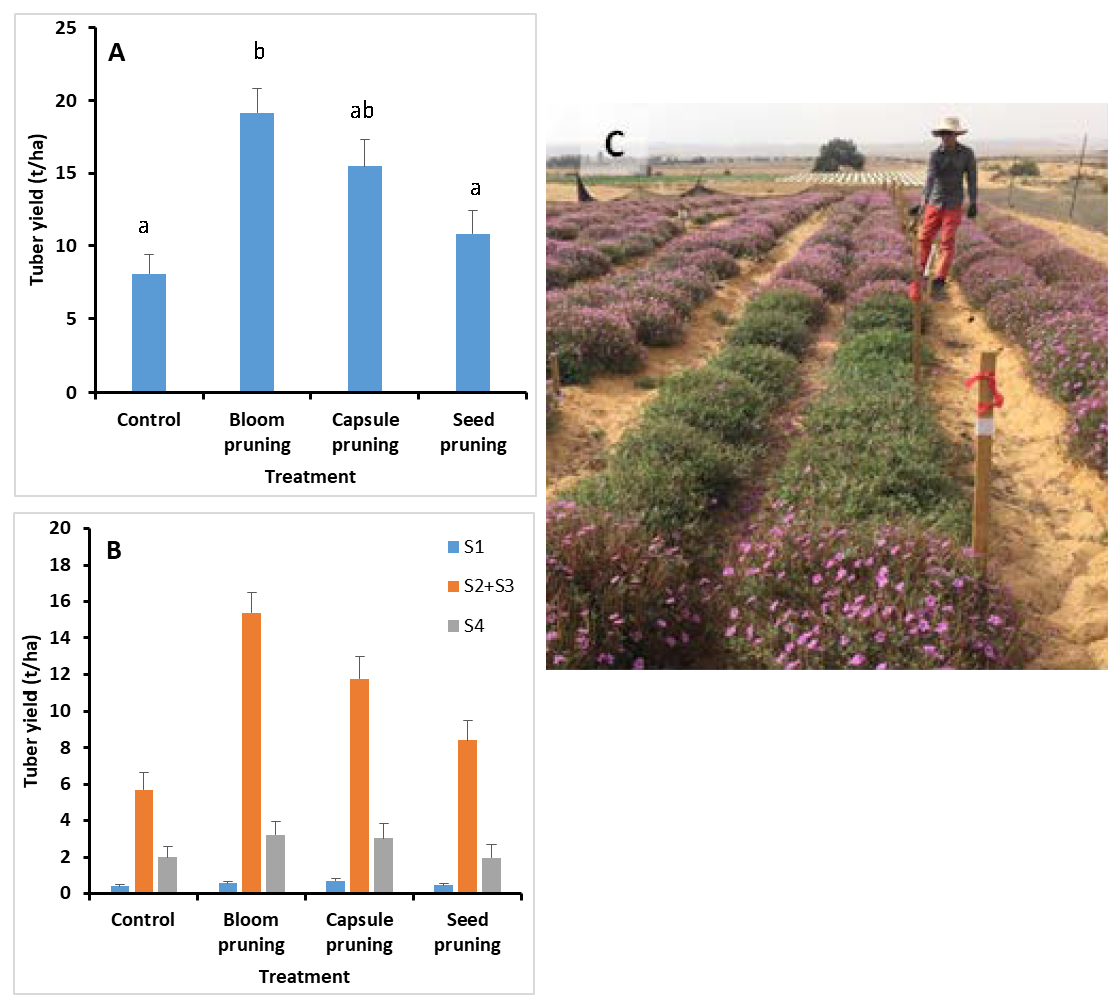 Agronomy 11 01715 g004