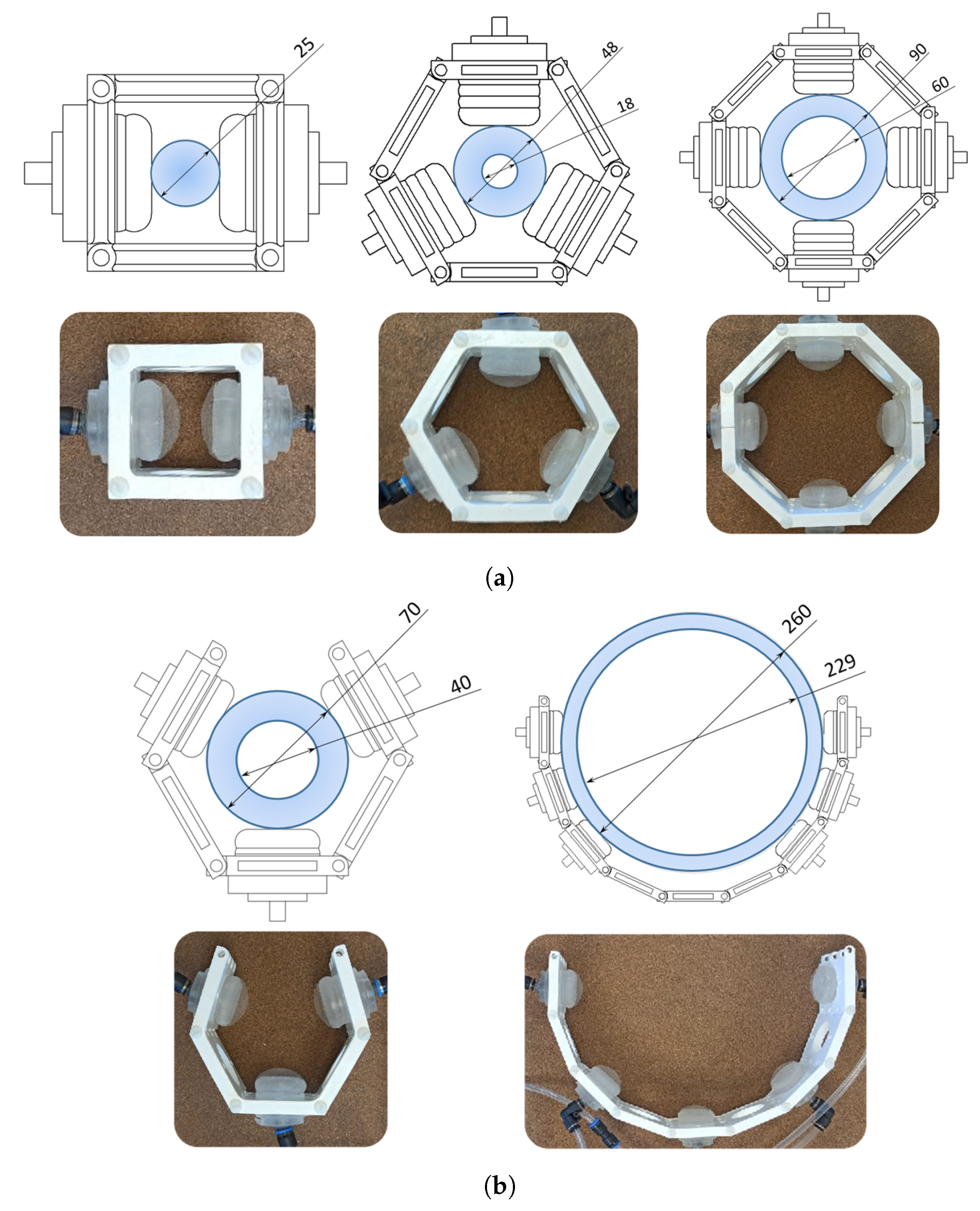 Agronomy 11 01727 g005 550