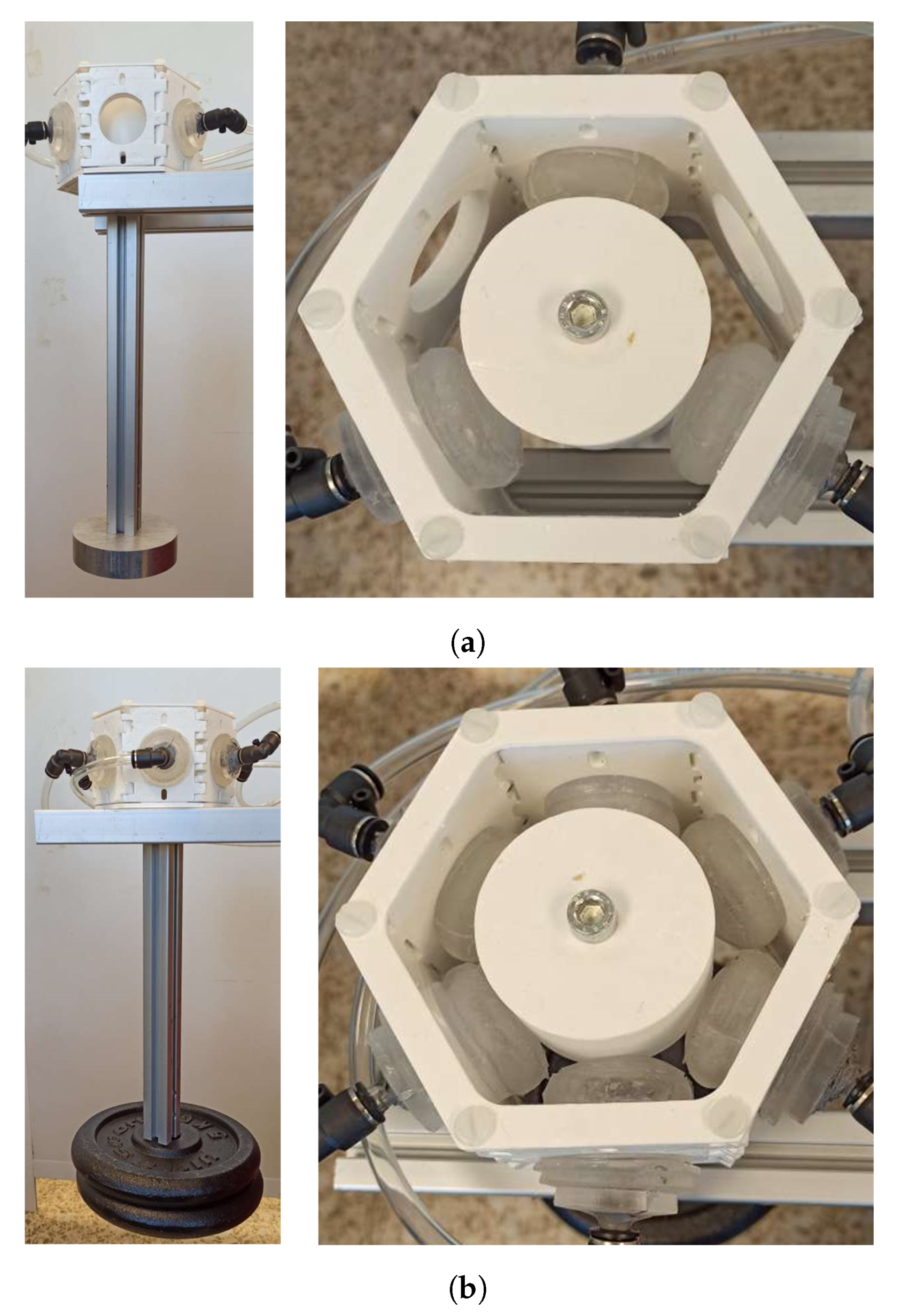 Agronomy 11 01727 g014 550