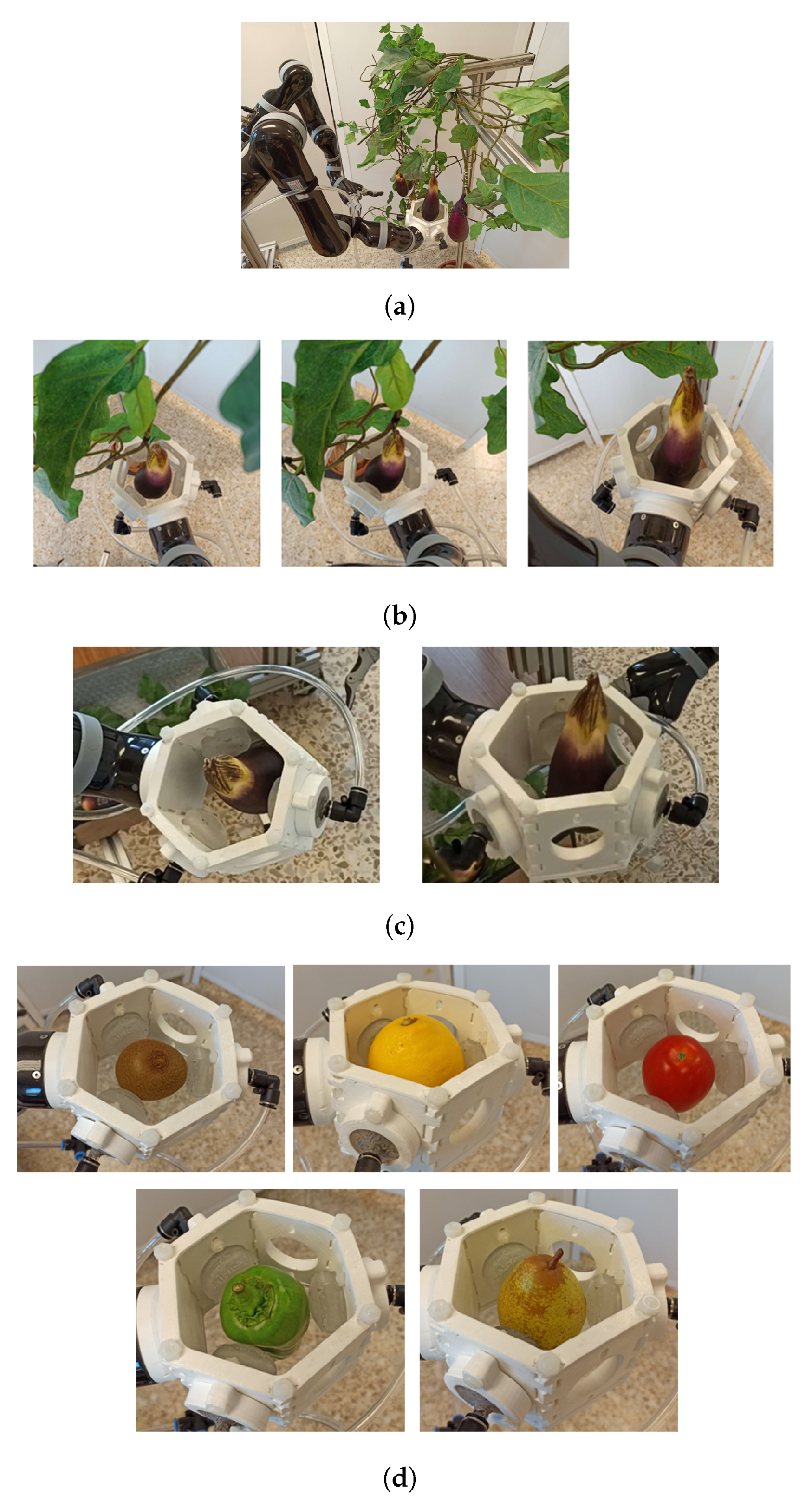 Agronomy 11 01727 g015 550