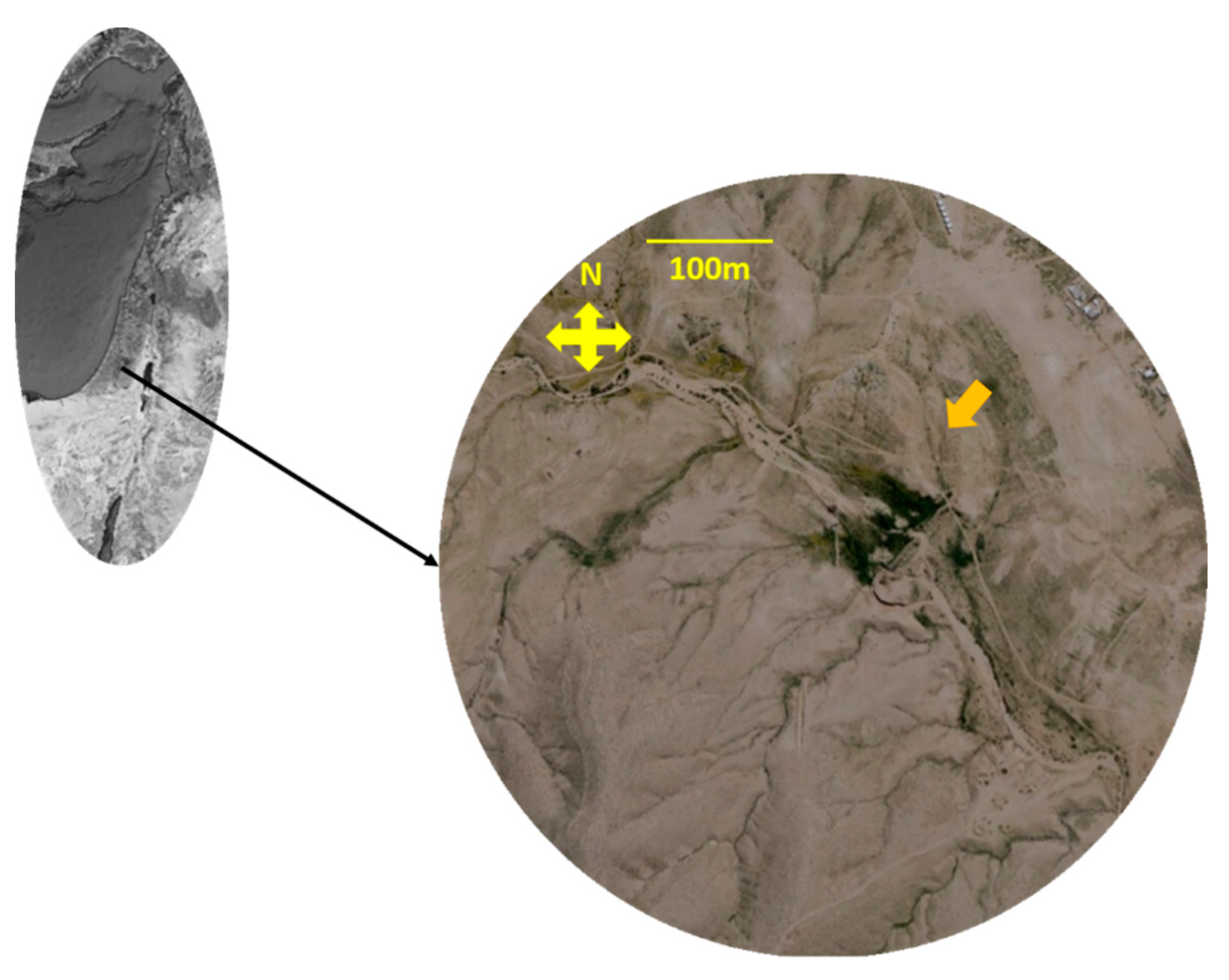 Agronomy 11 01730 g001 Agronomy 11 01730 g001
