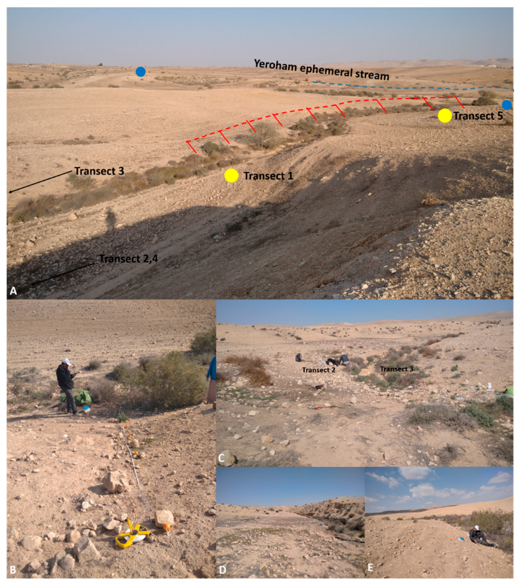 Agronomy 11 01730 g002 Agronomy 11 01730 g002