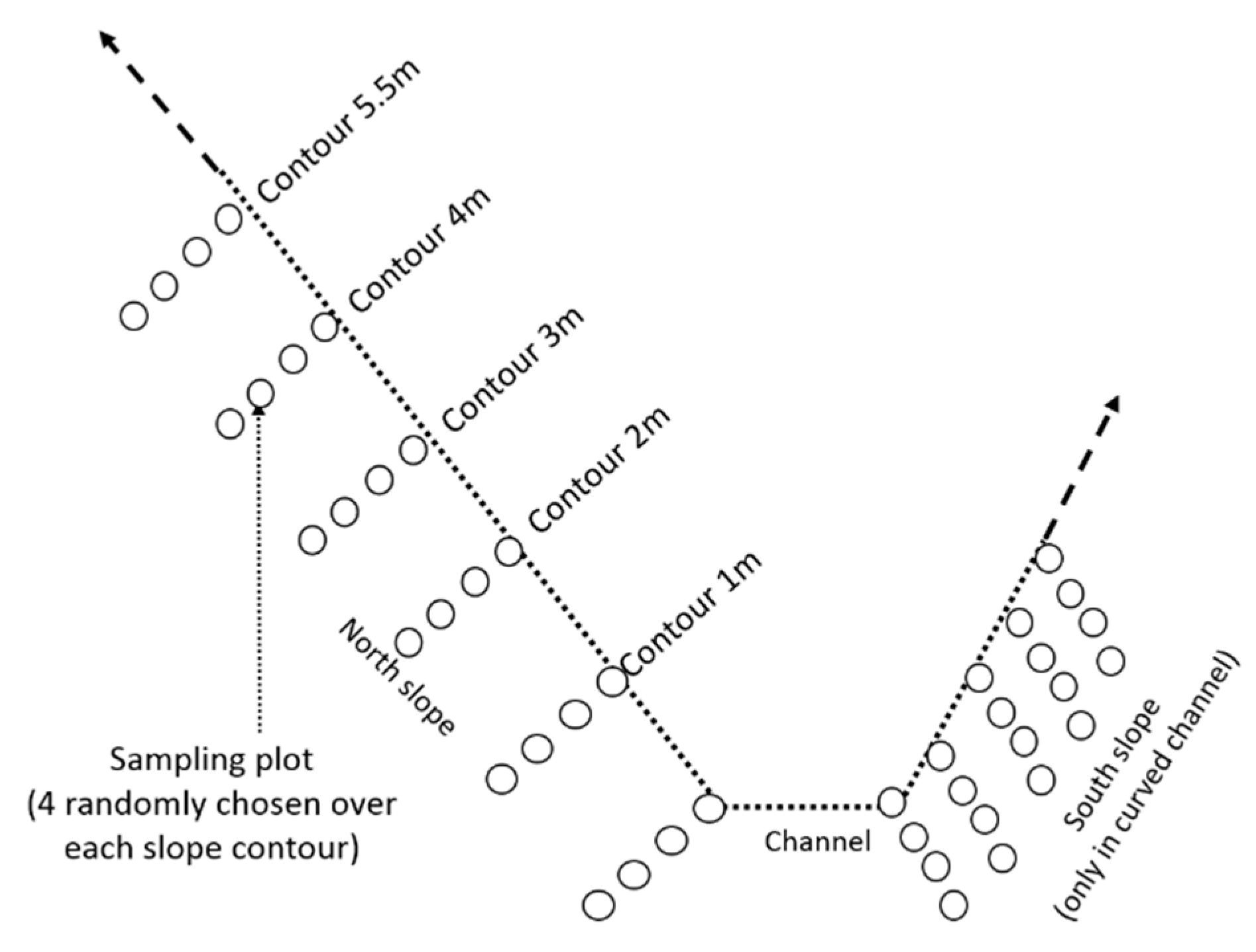 Agronomy 11 01730 g003 Agronomy 11 01730 g003