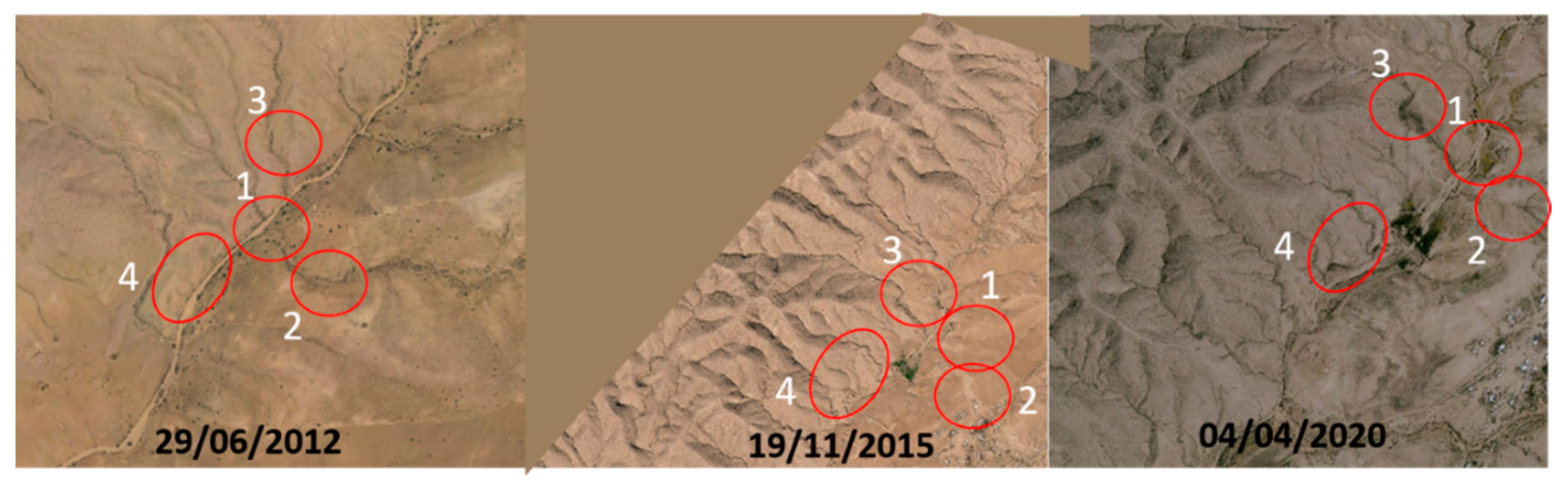 Agronomy 11 01730 g005 Agronomy 11 01730 g005
