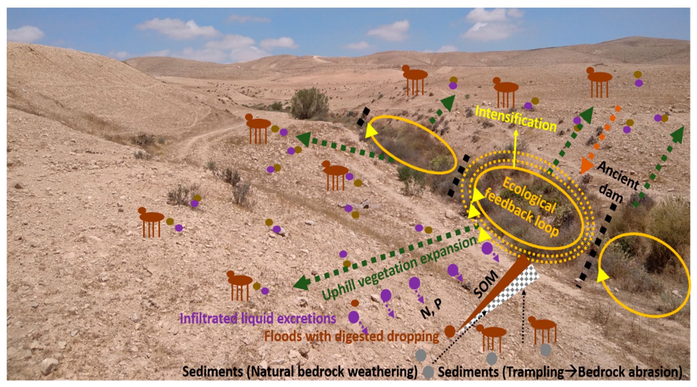 Agronomy 11 01730 g009 Agronomy 11 01730 g009
