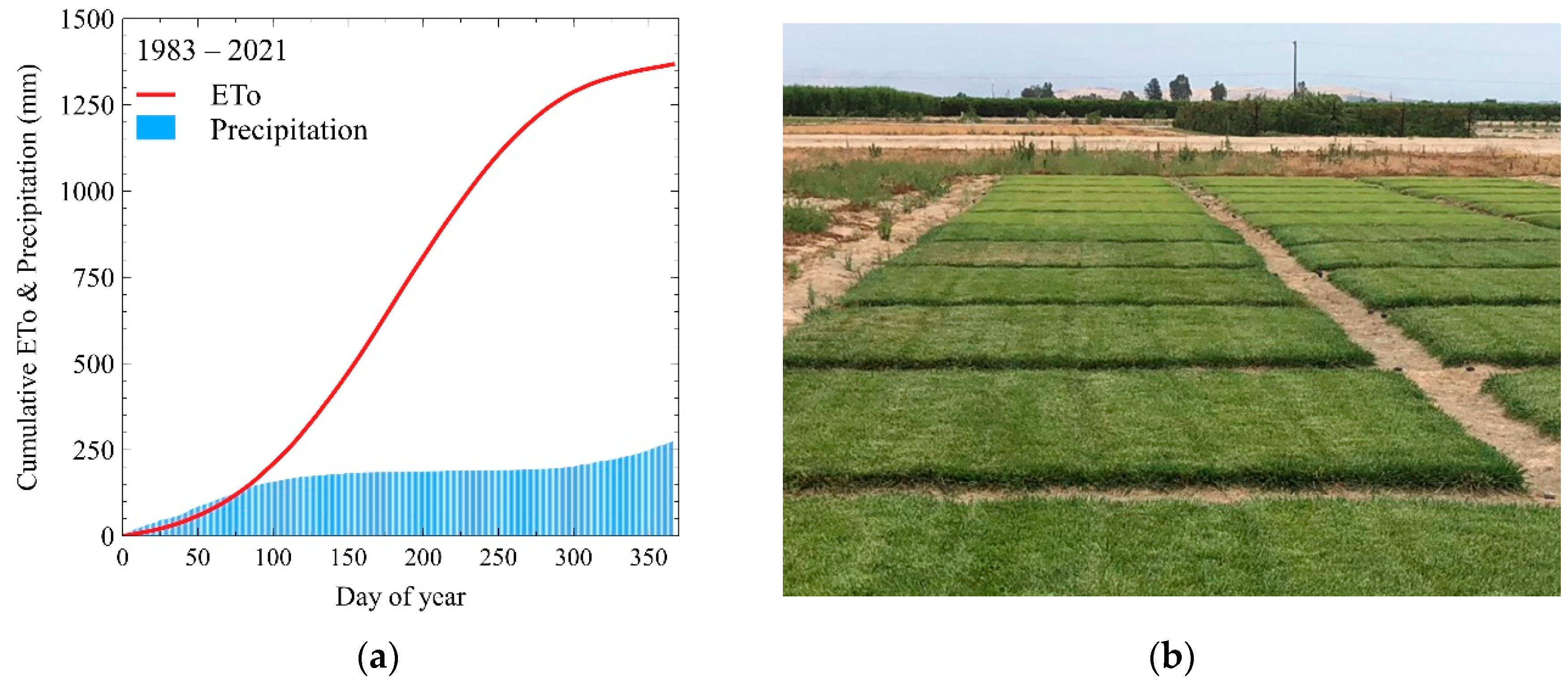 Agronomy 11 01733 g002