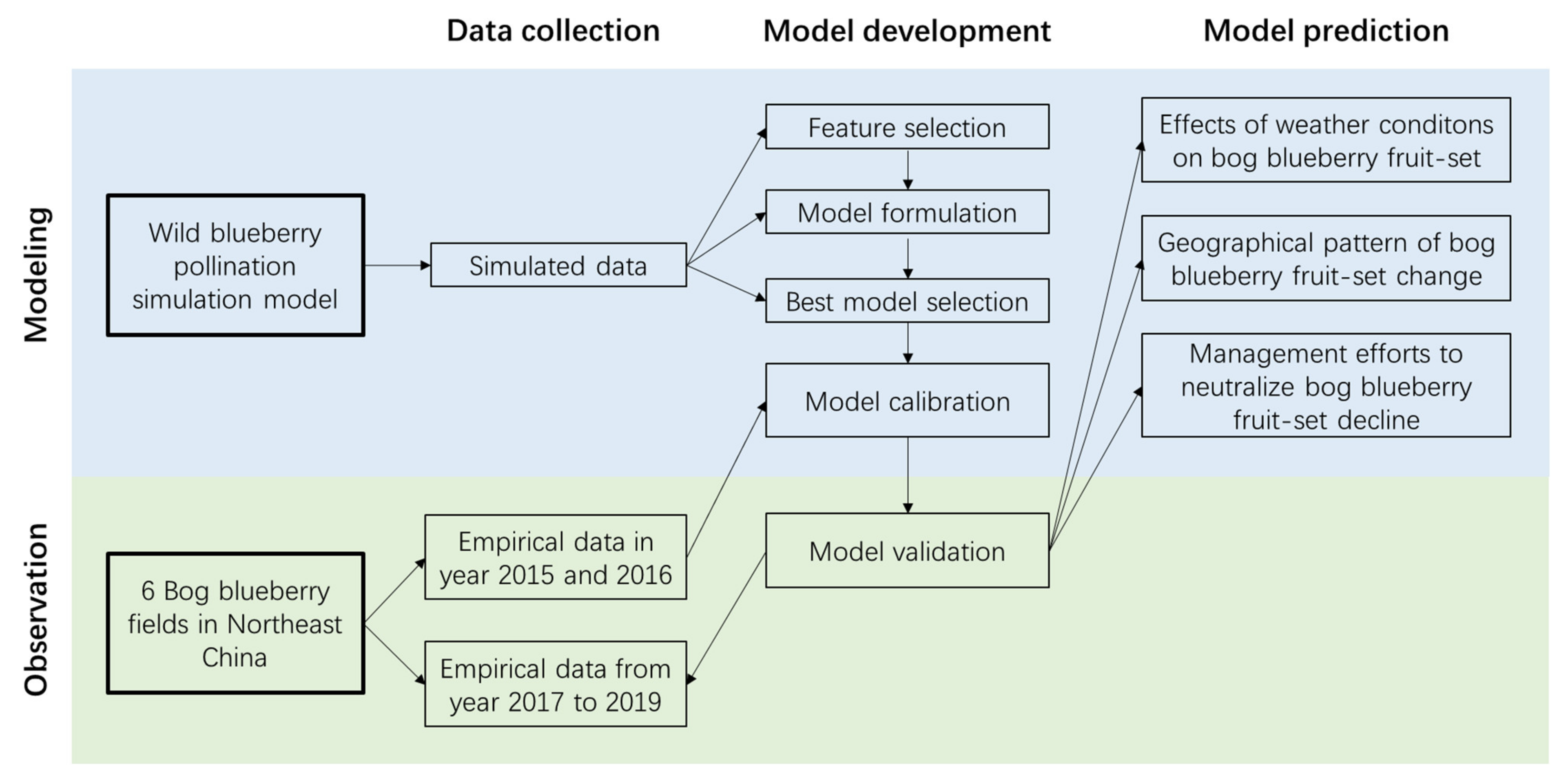 Agronomy 11 01736 g001