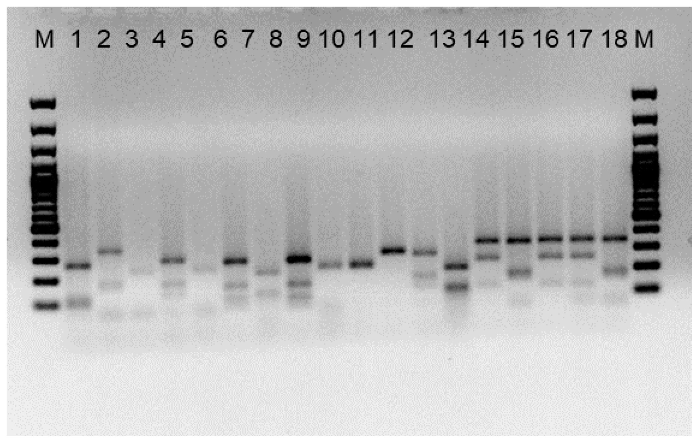 Agronomy 11 01752 g003 Agronomy 11 01752 g003